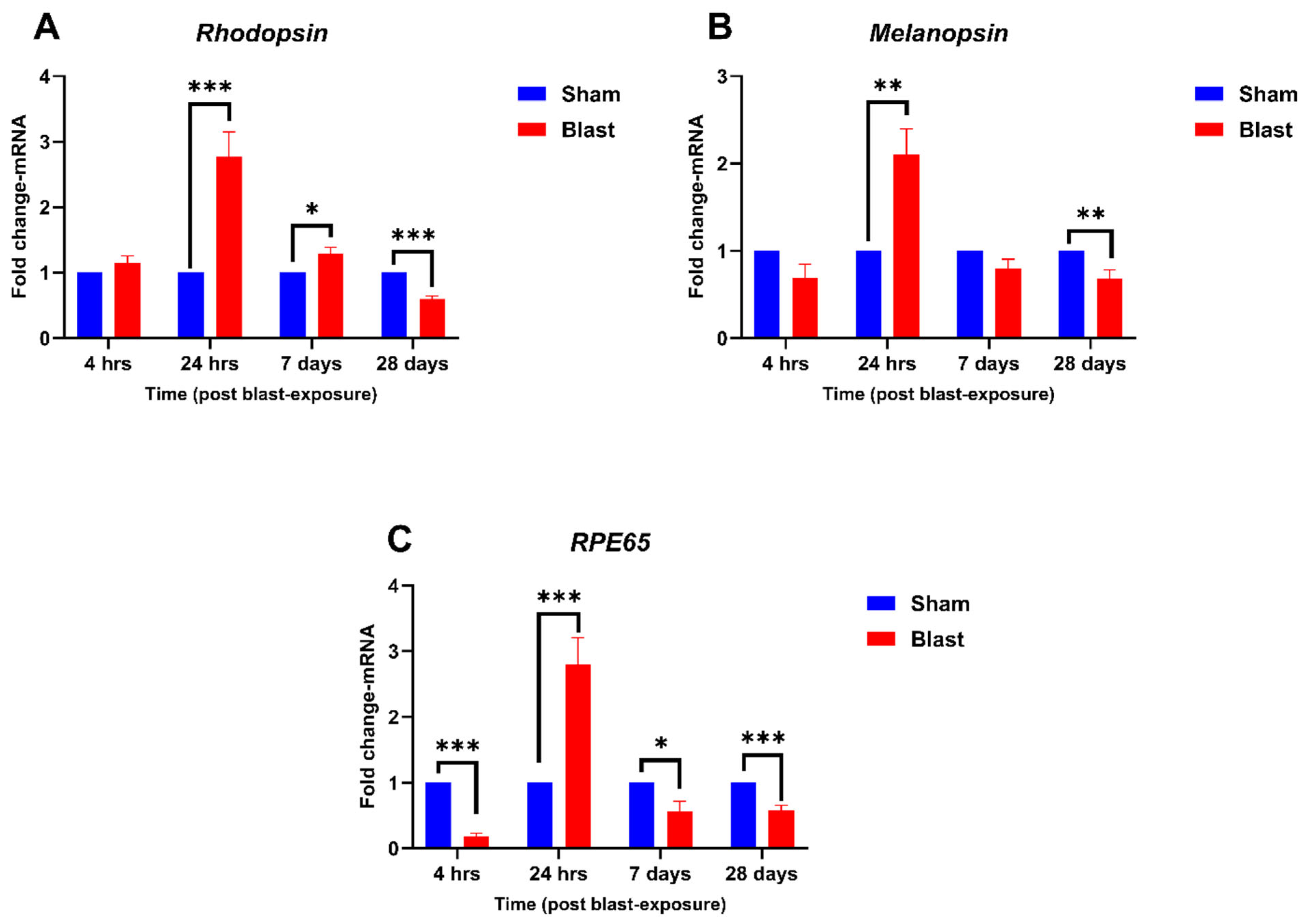 Neurolint 17 00042 g003
