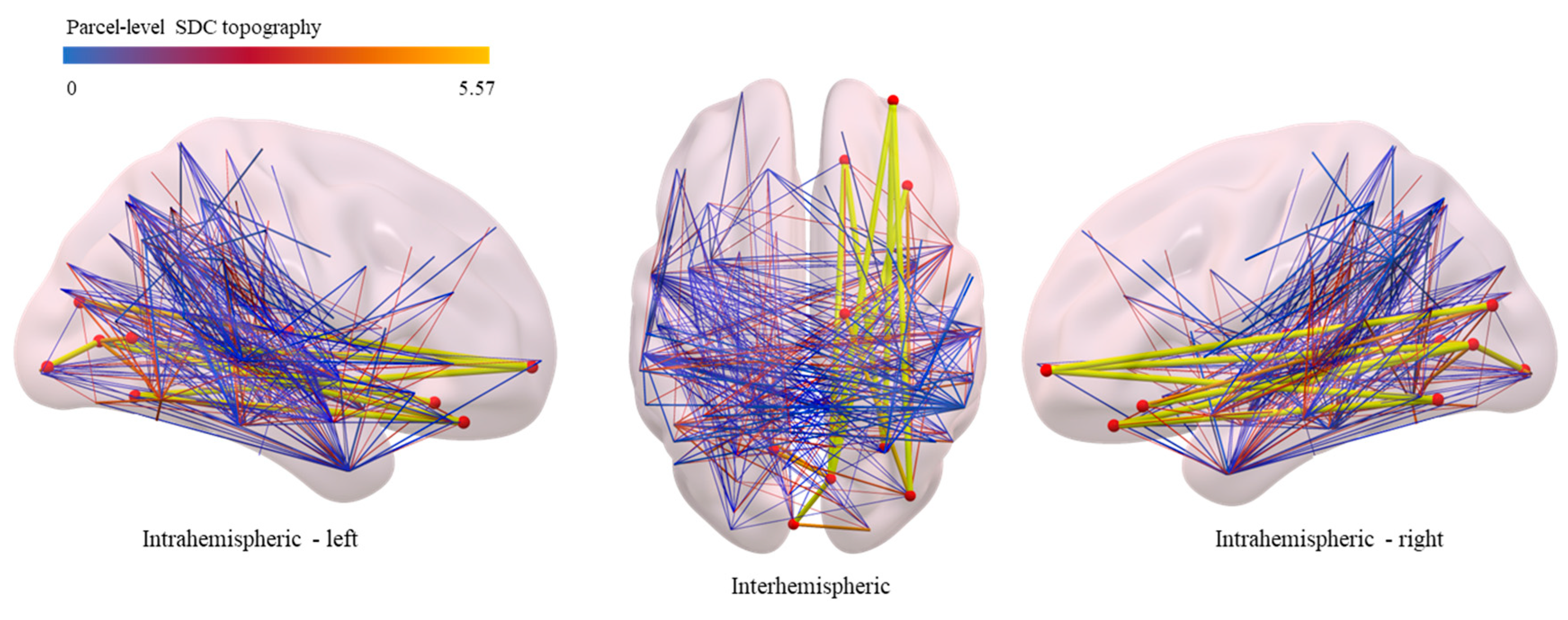 Neurolint 17 00052 g002