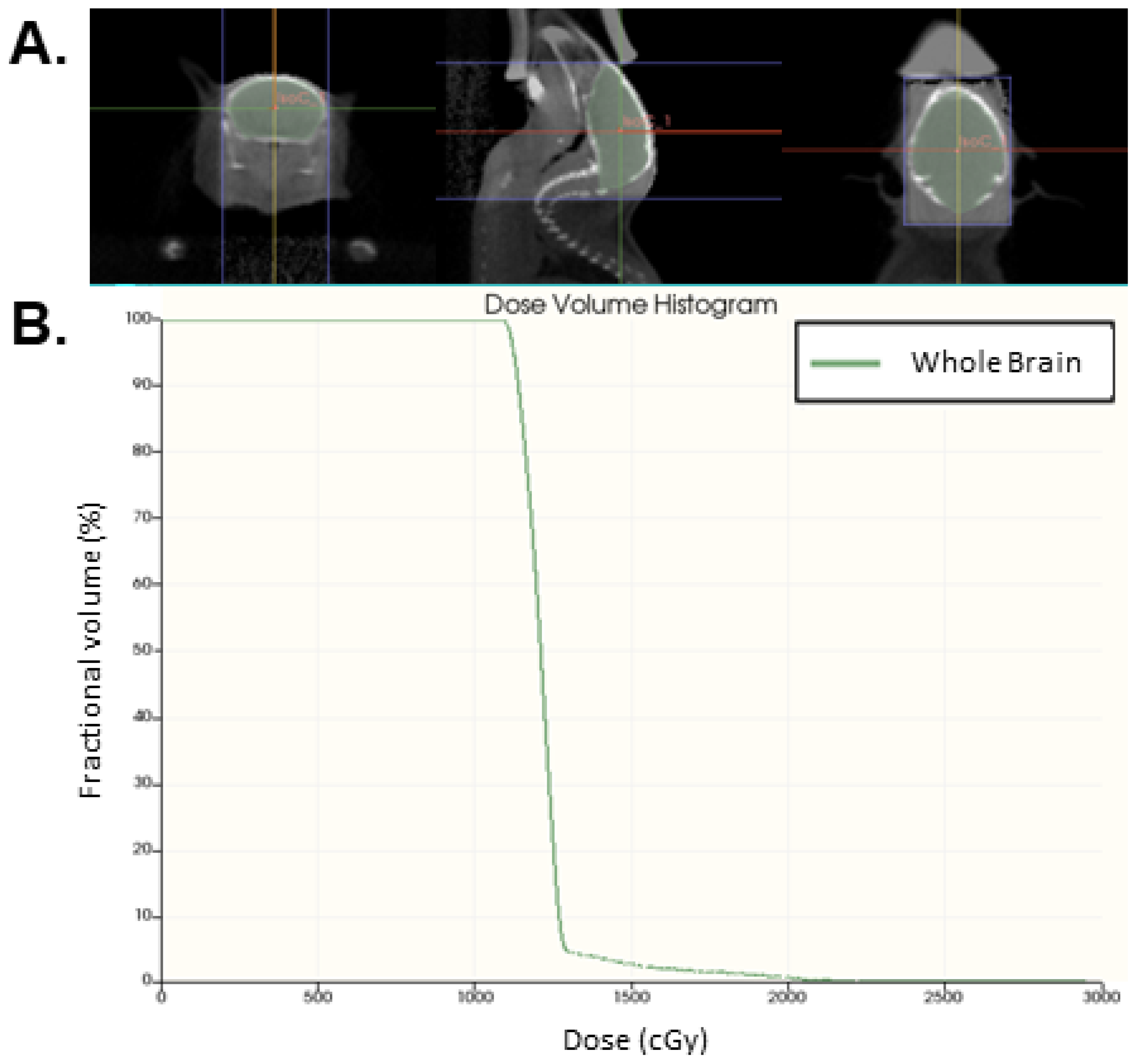 Neurolint 17 00053 g001
