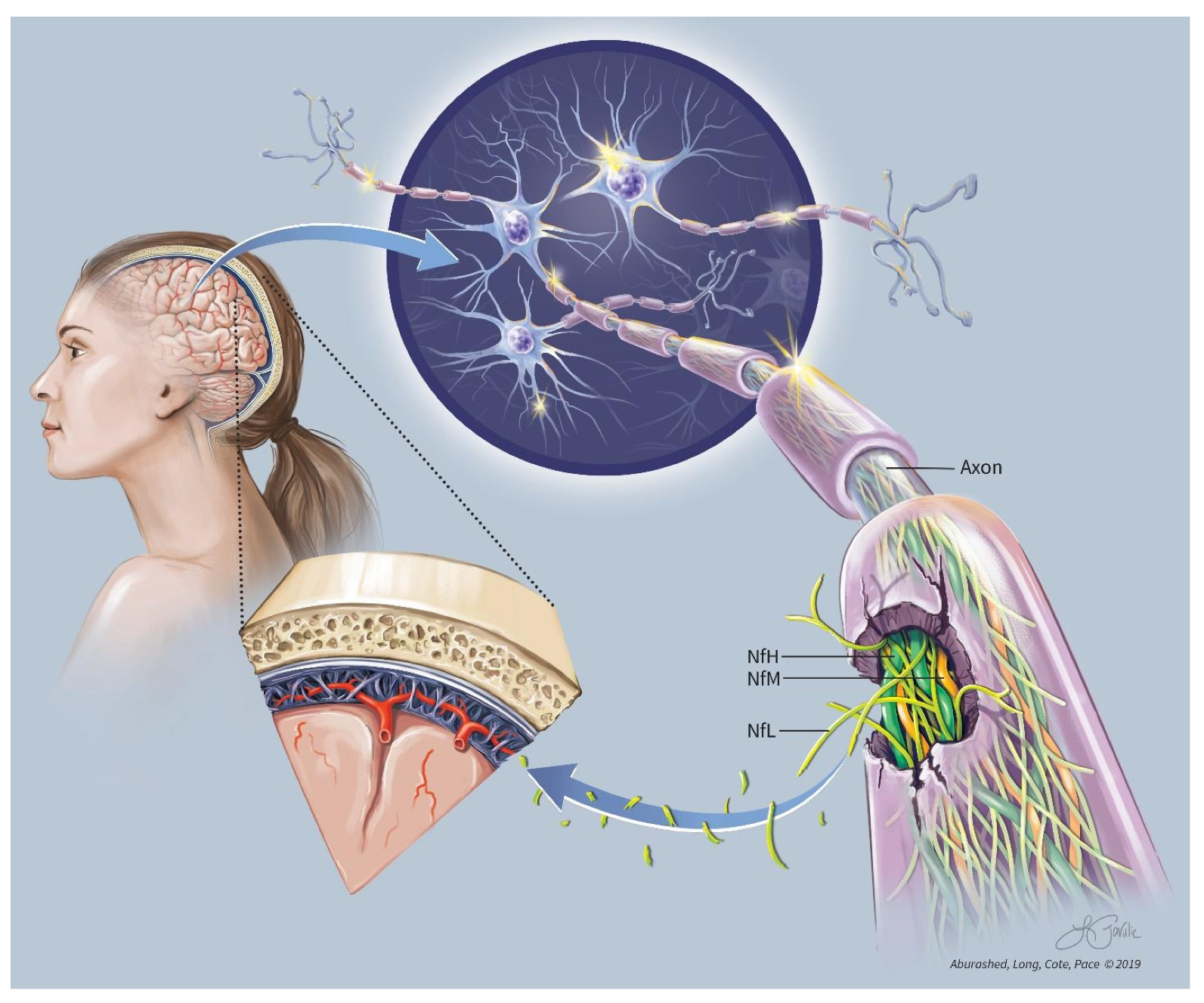 Neurolint 17 00056 g001