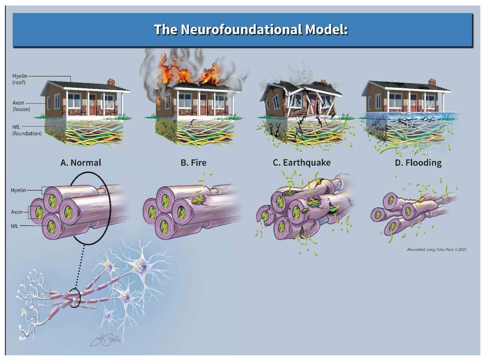 Neurolint 17 00056 g002