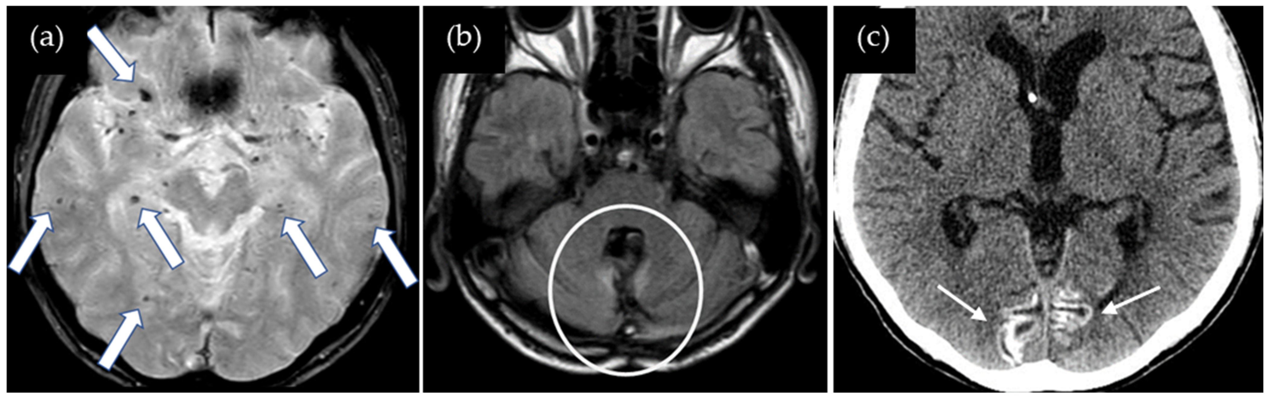 Neurolint 17 00064 g003