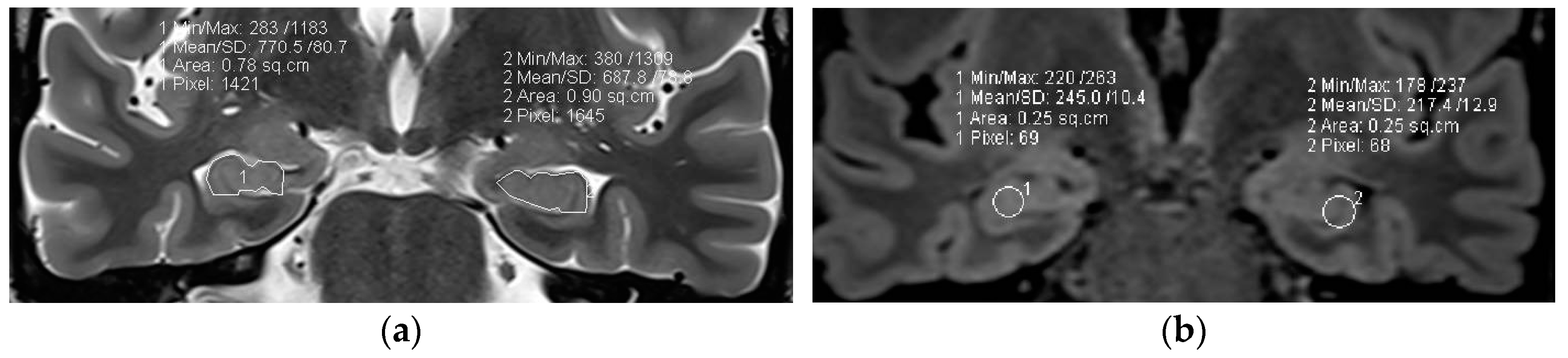Neurolint 17 00066 g007