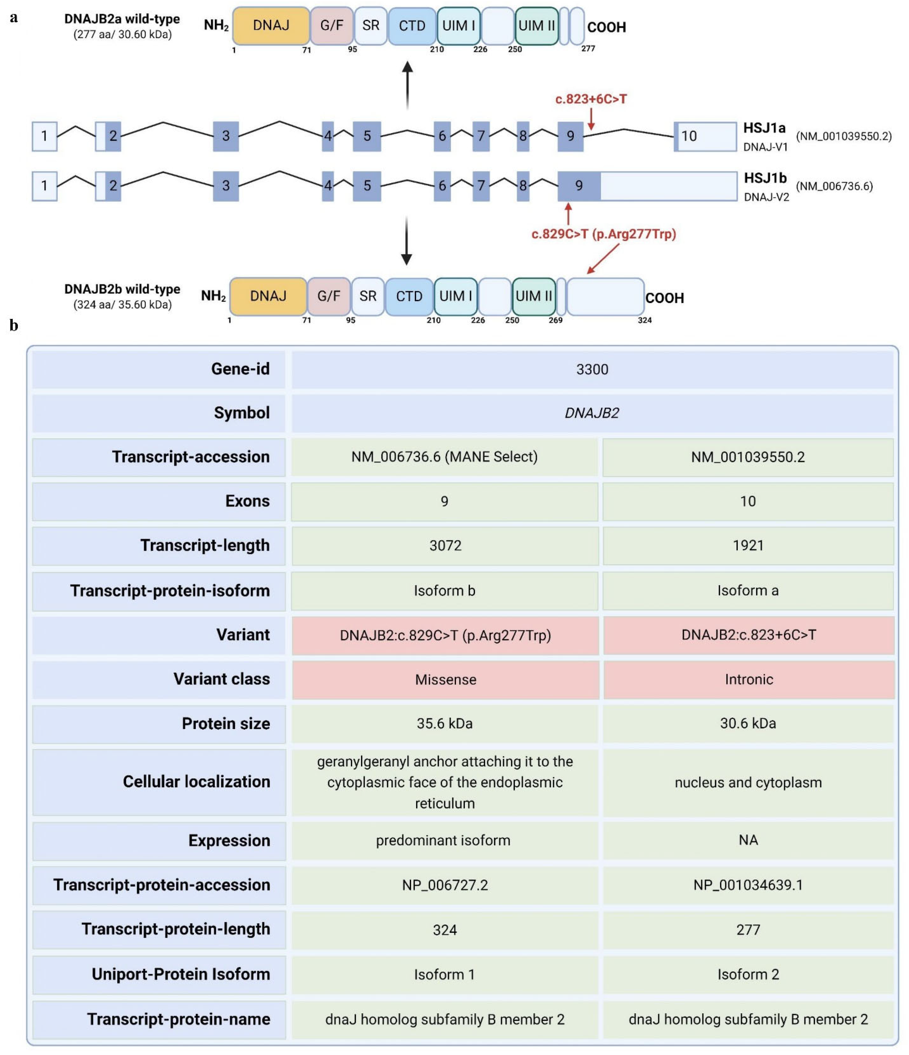 Neurolint 17 00073 g001
