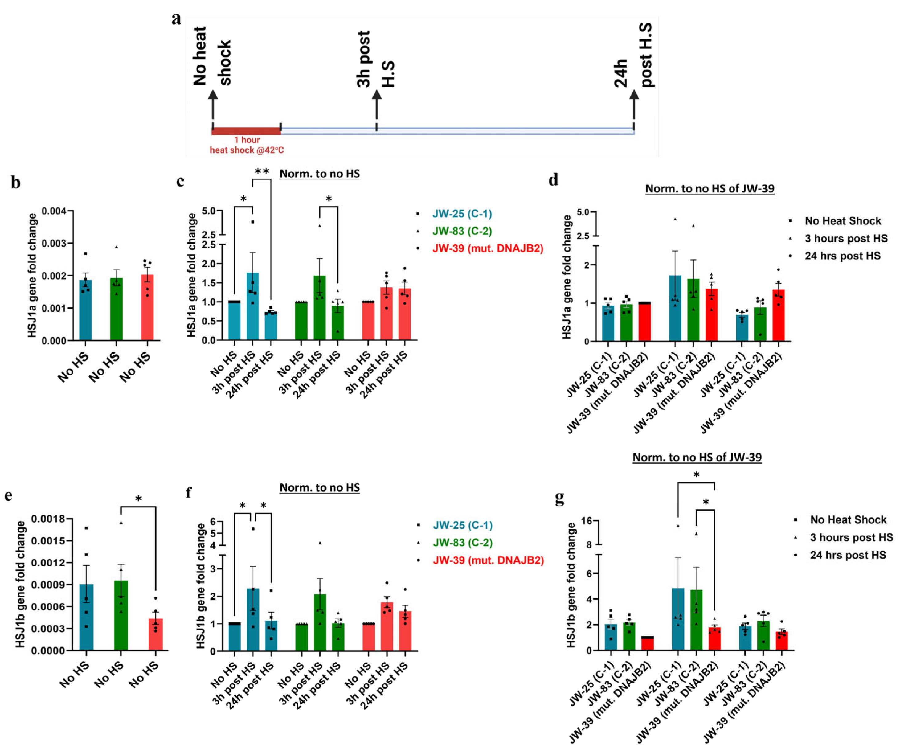 Neurolint 17 00073 g003