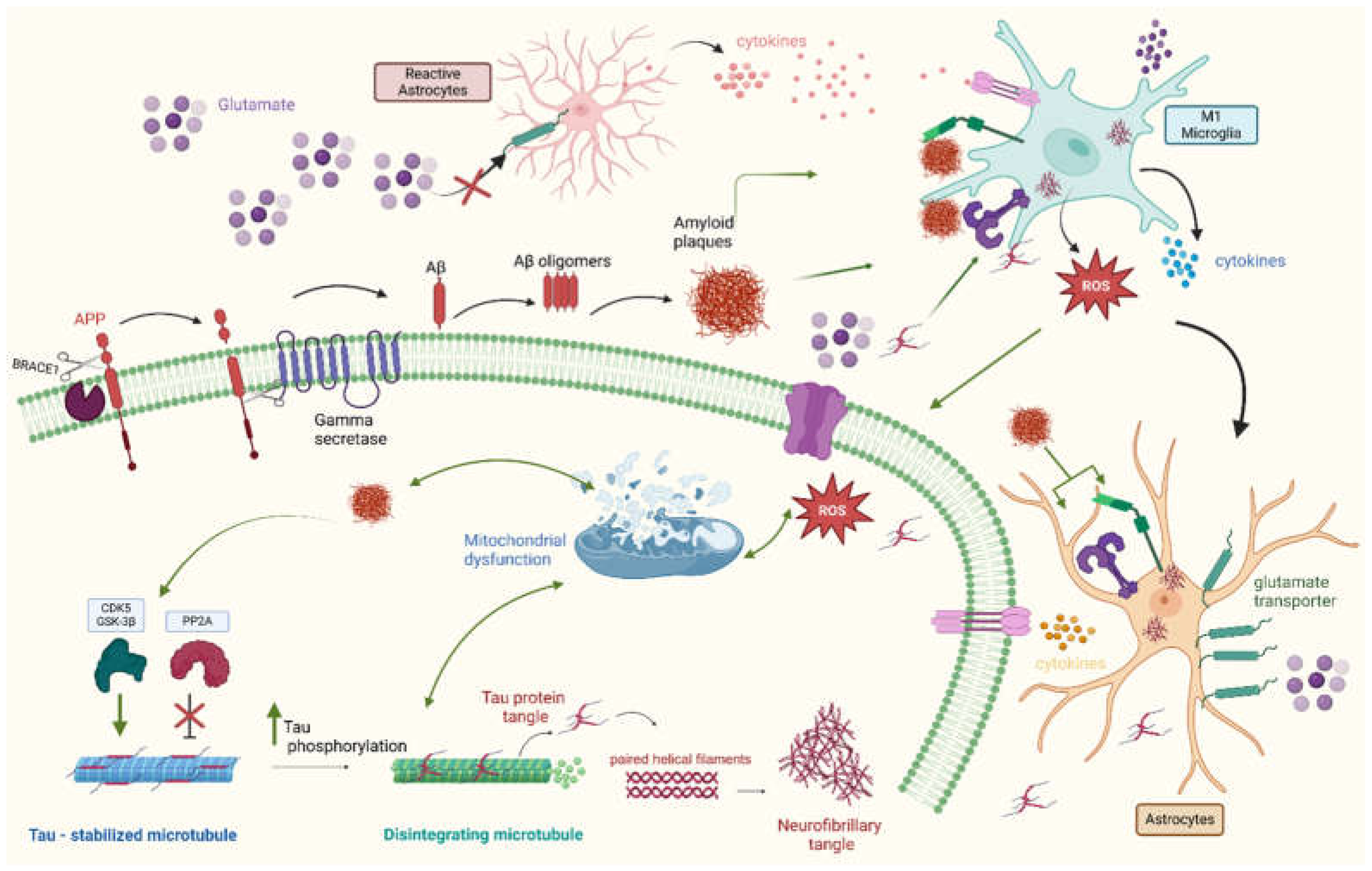 Neurolint 17 00081 g001