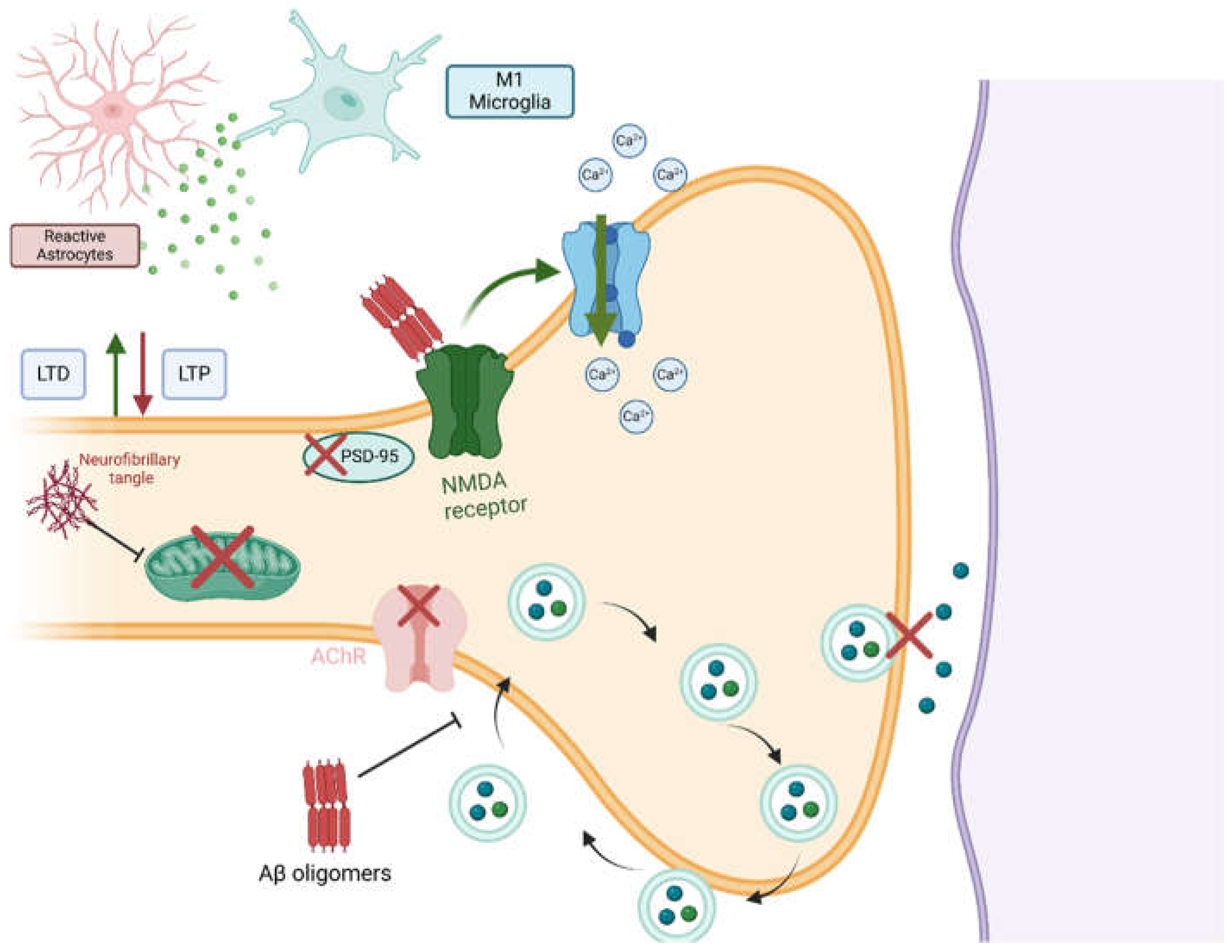 Neurolint 17 00081 g002