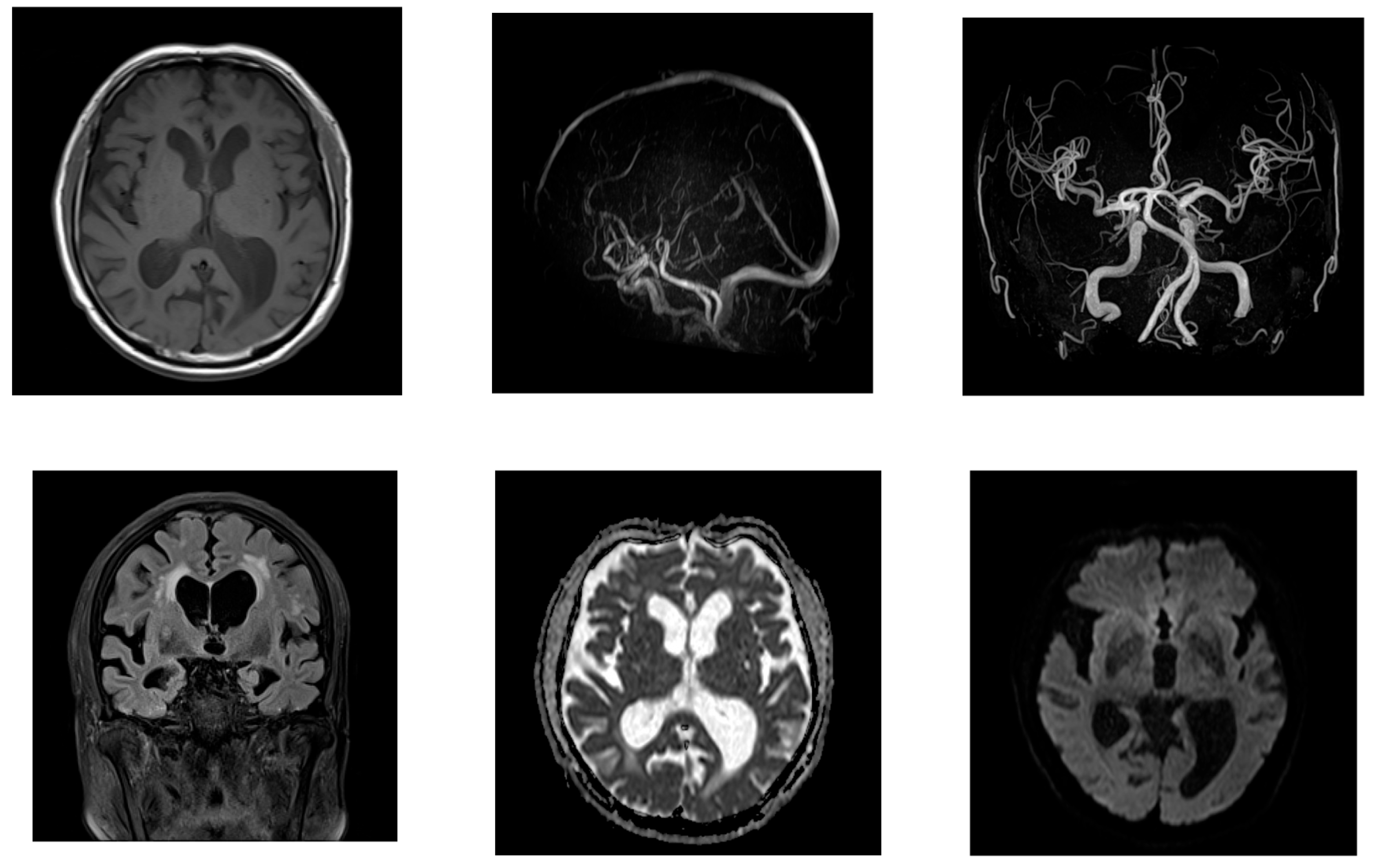 Neurolint 17 00086 g002
