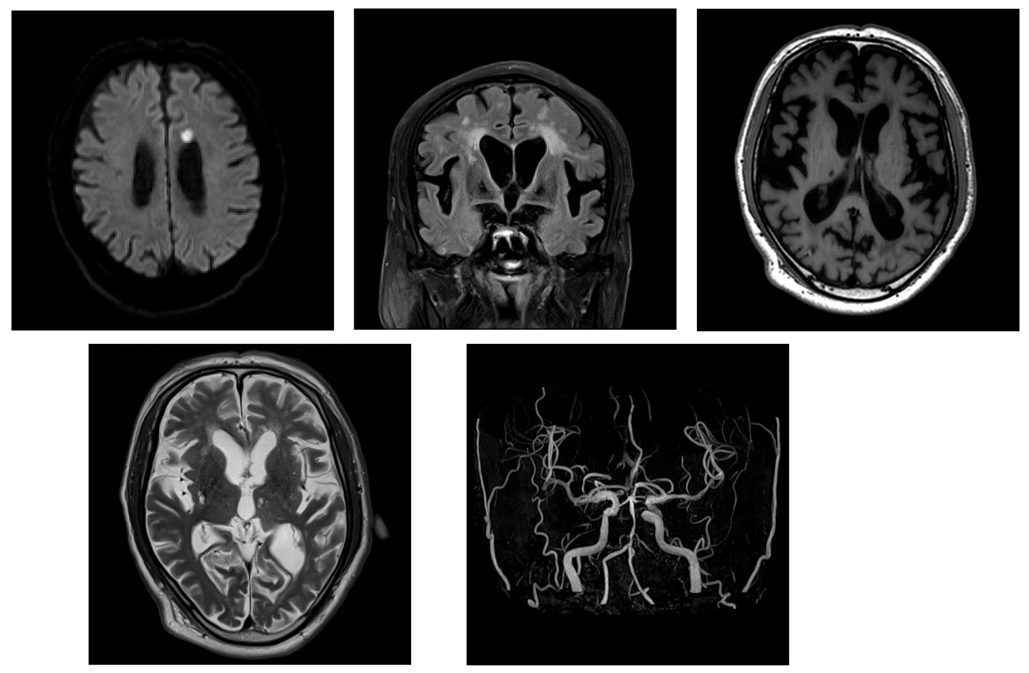 Neurolint 17 00086 g004