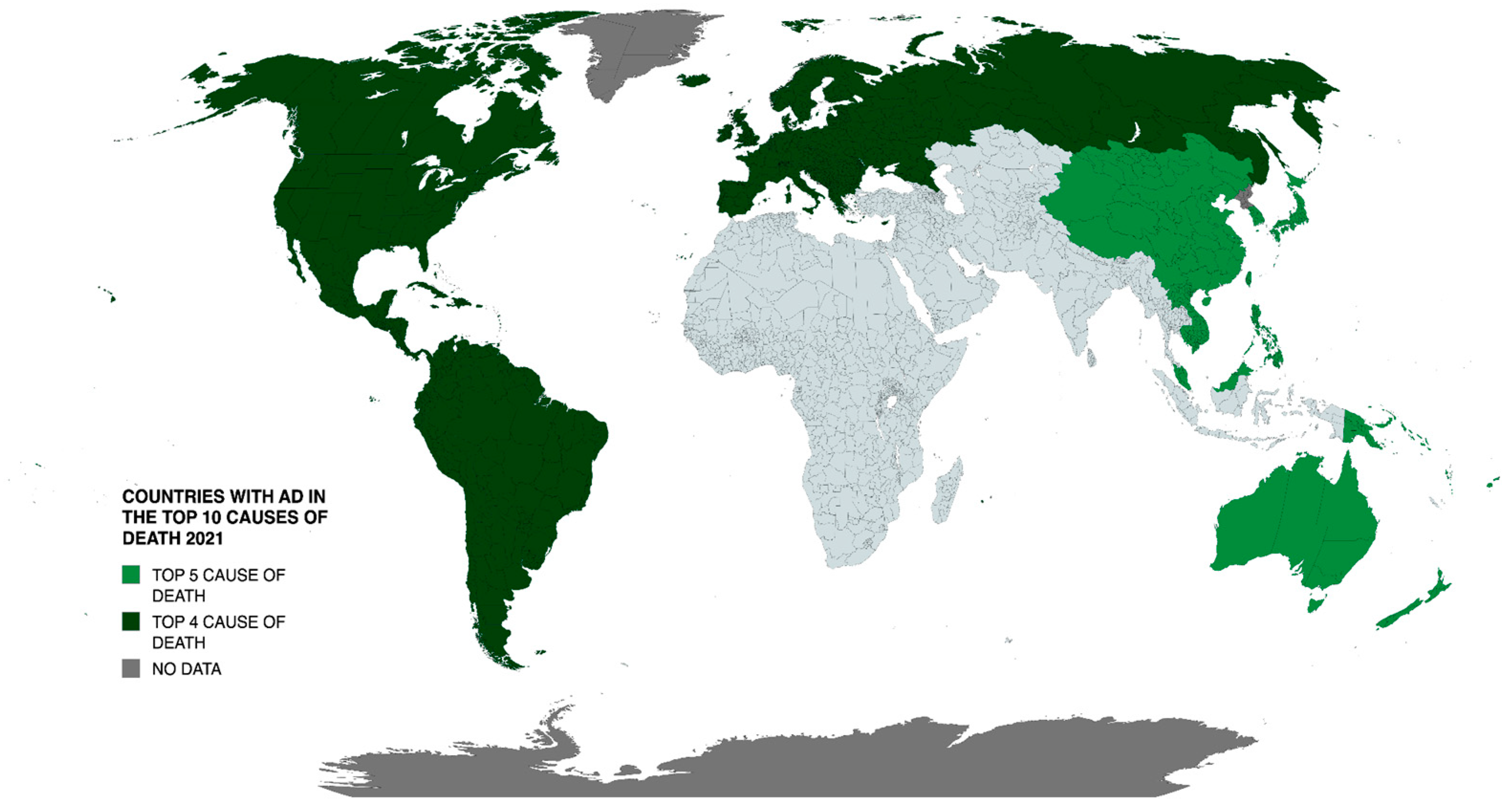 Neurolint 17 00092 g001