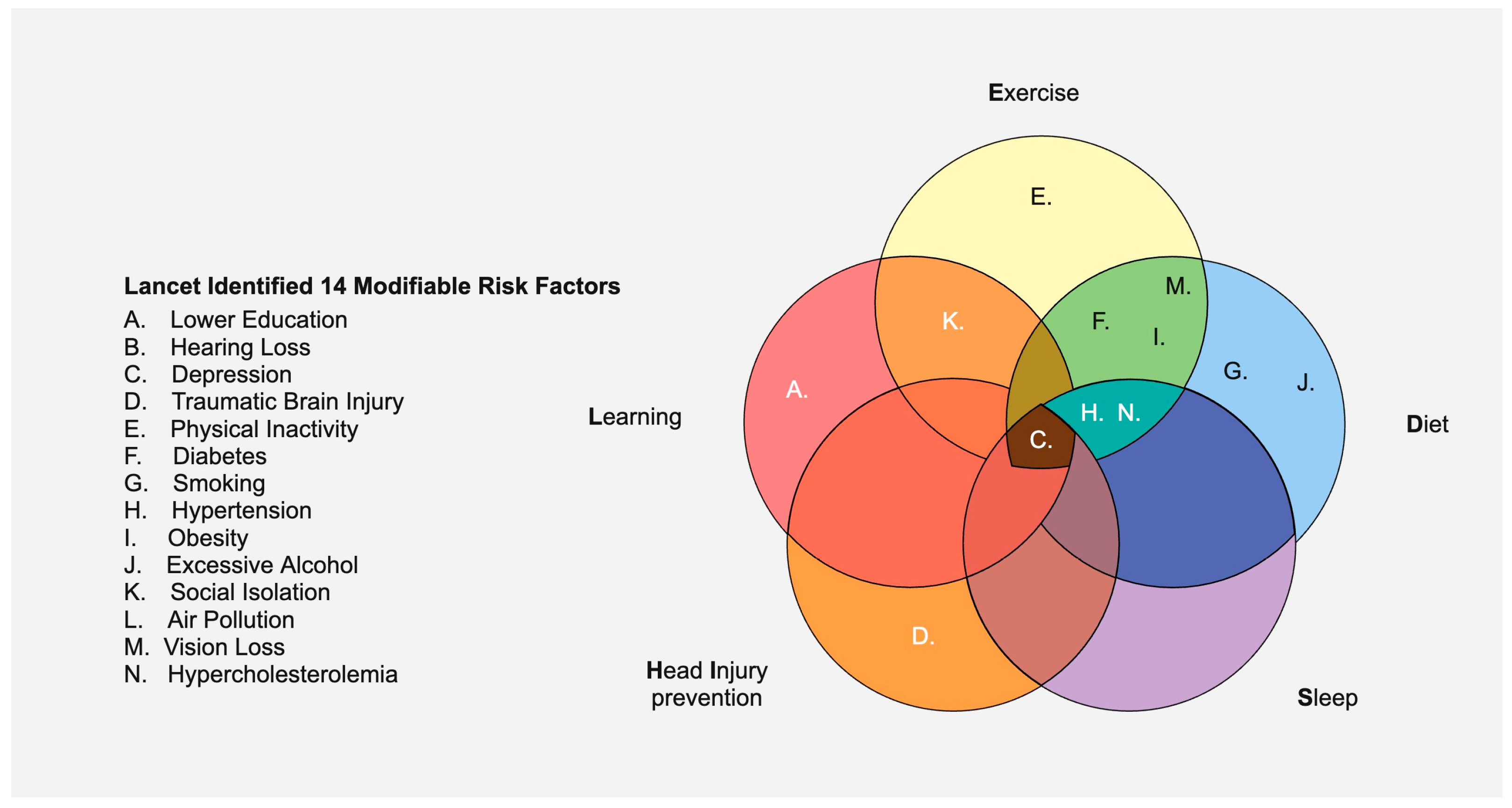 Neurolint 17 00092 g004
