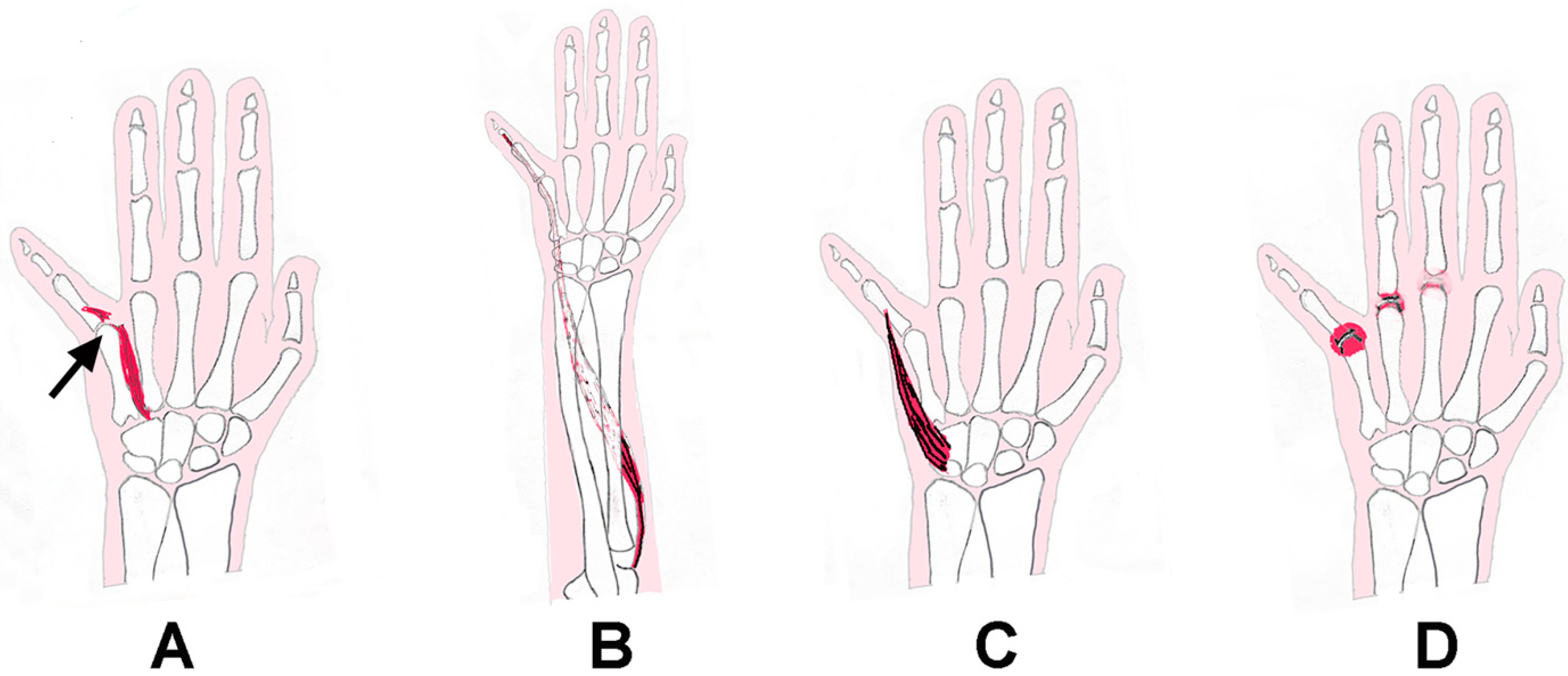 Neurolint 17 00097 g001
