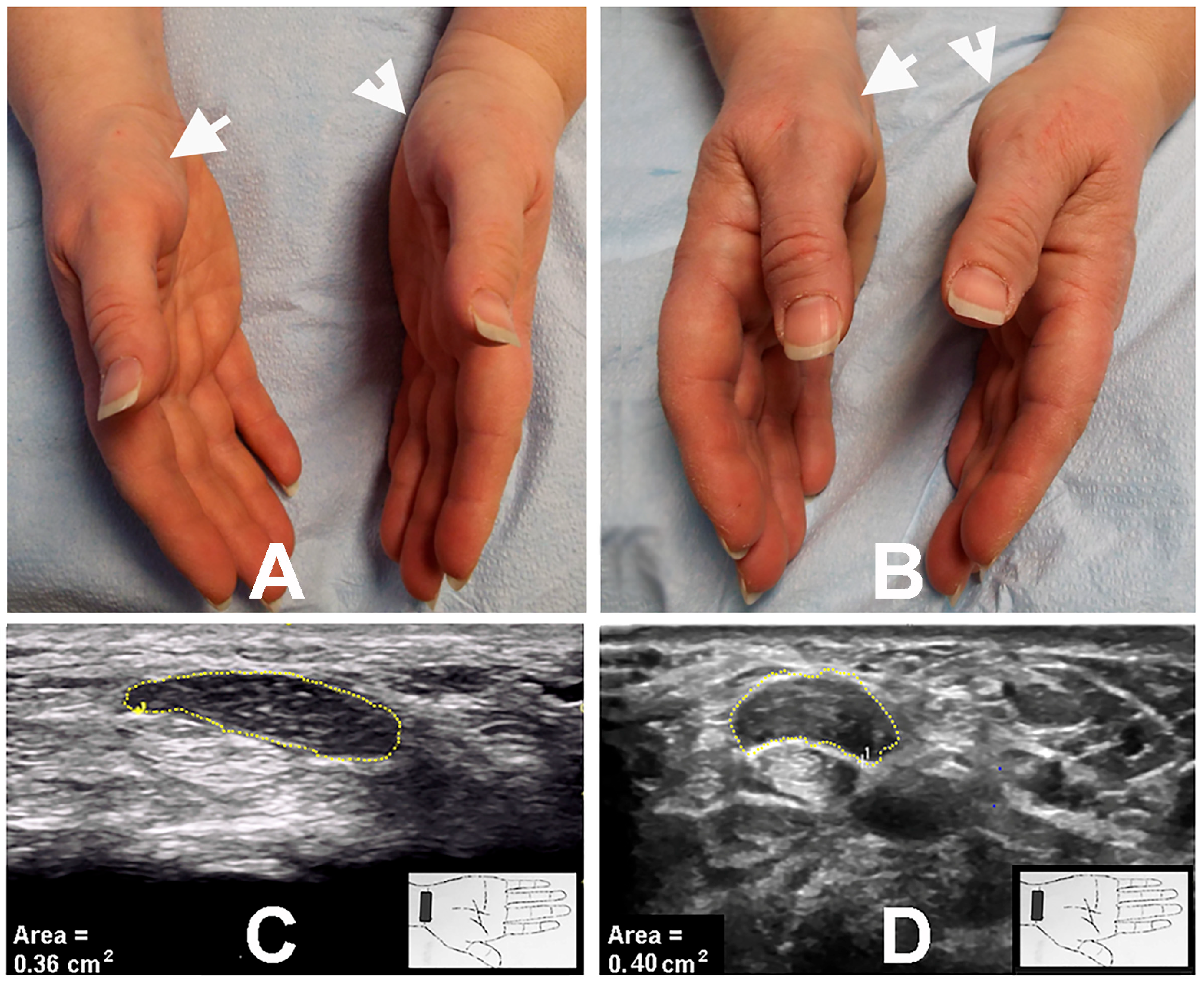 Neurolint 17 00124 g001