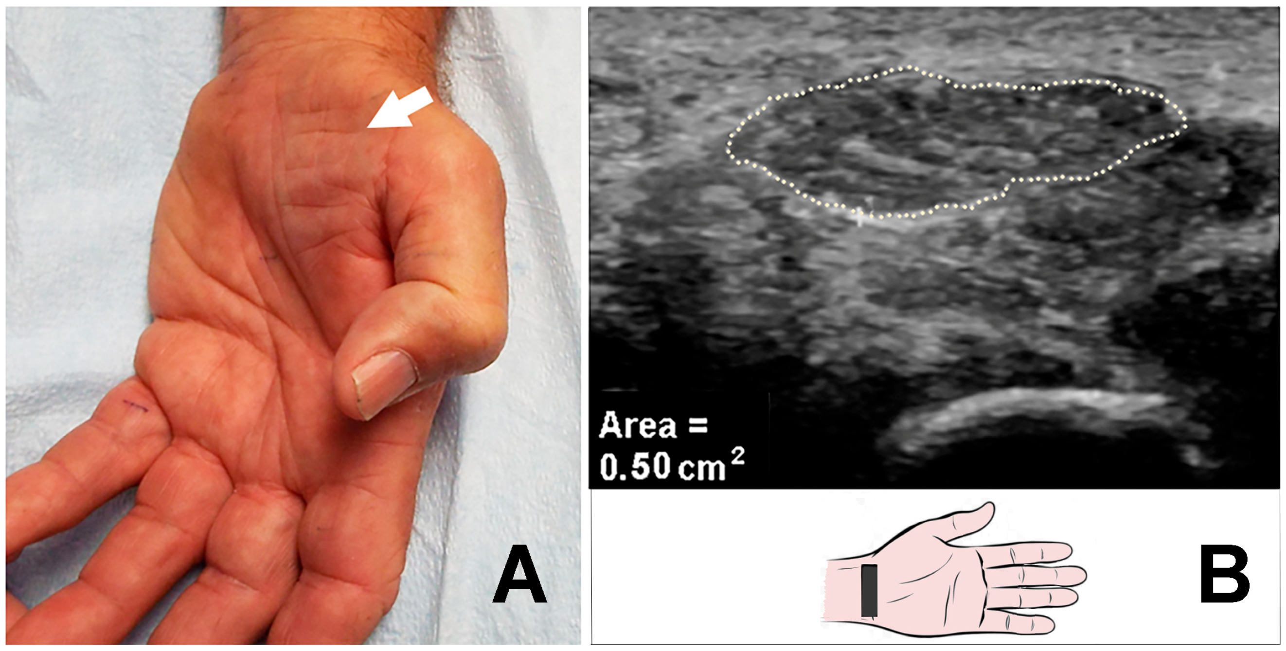 Neurolint 17 00124 g002
