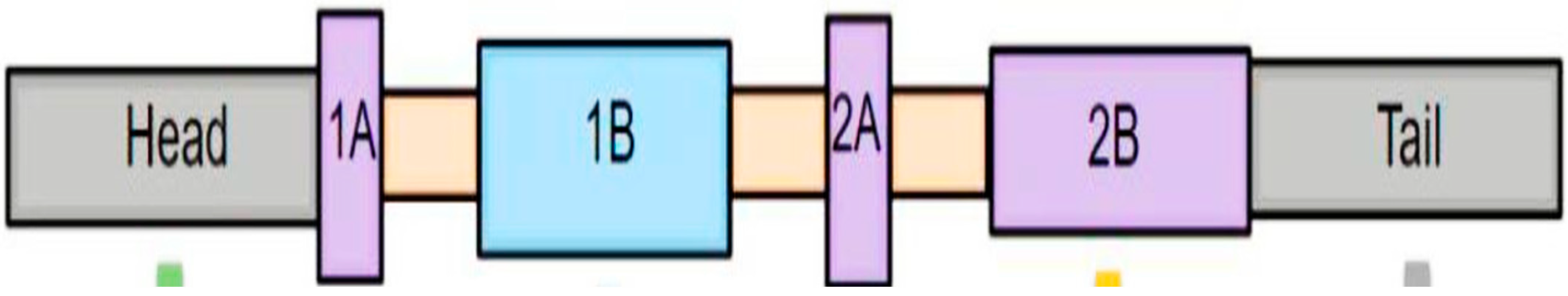Neurolint 17 00134 g001 Neurolint 17 00134 g001