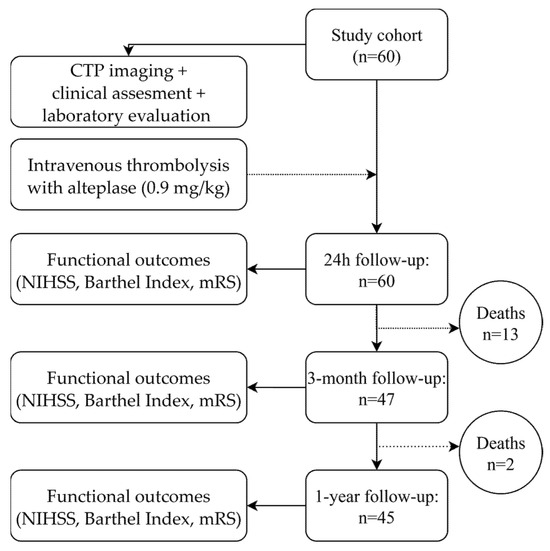 Neurolint 17 00136 g0a1