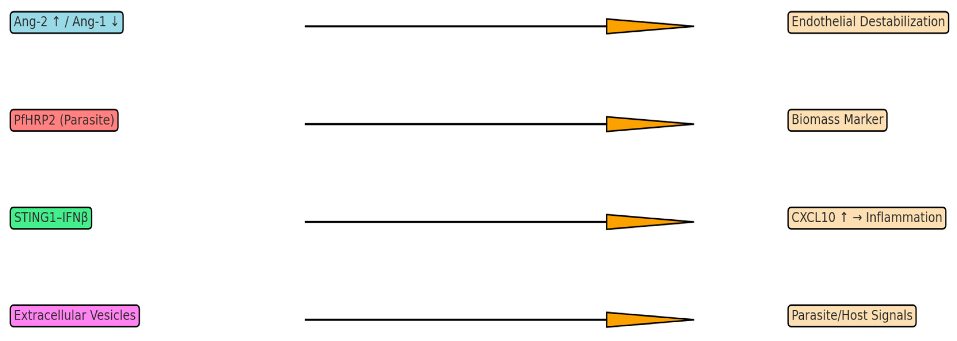 Neurolint 17 00149 g002 Neurolint 17 00149 g002