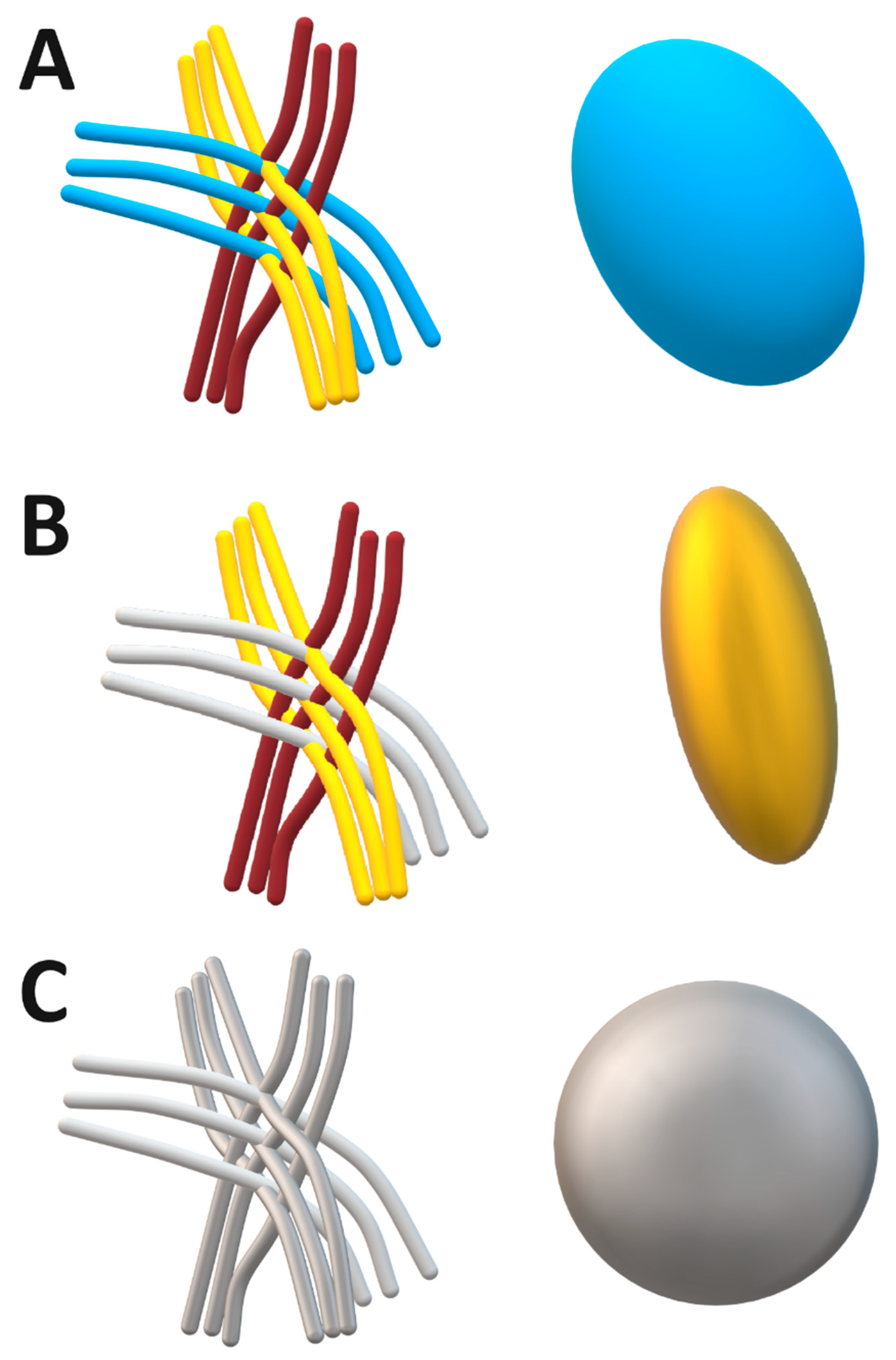 Neurolint 17 00154 g006