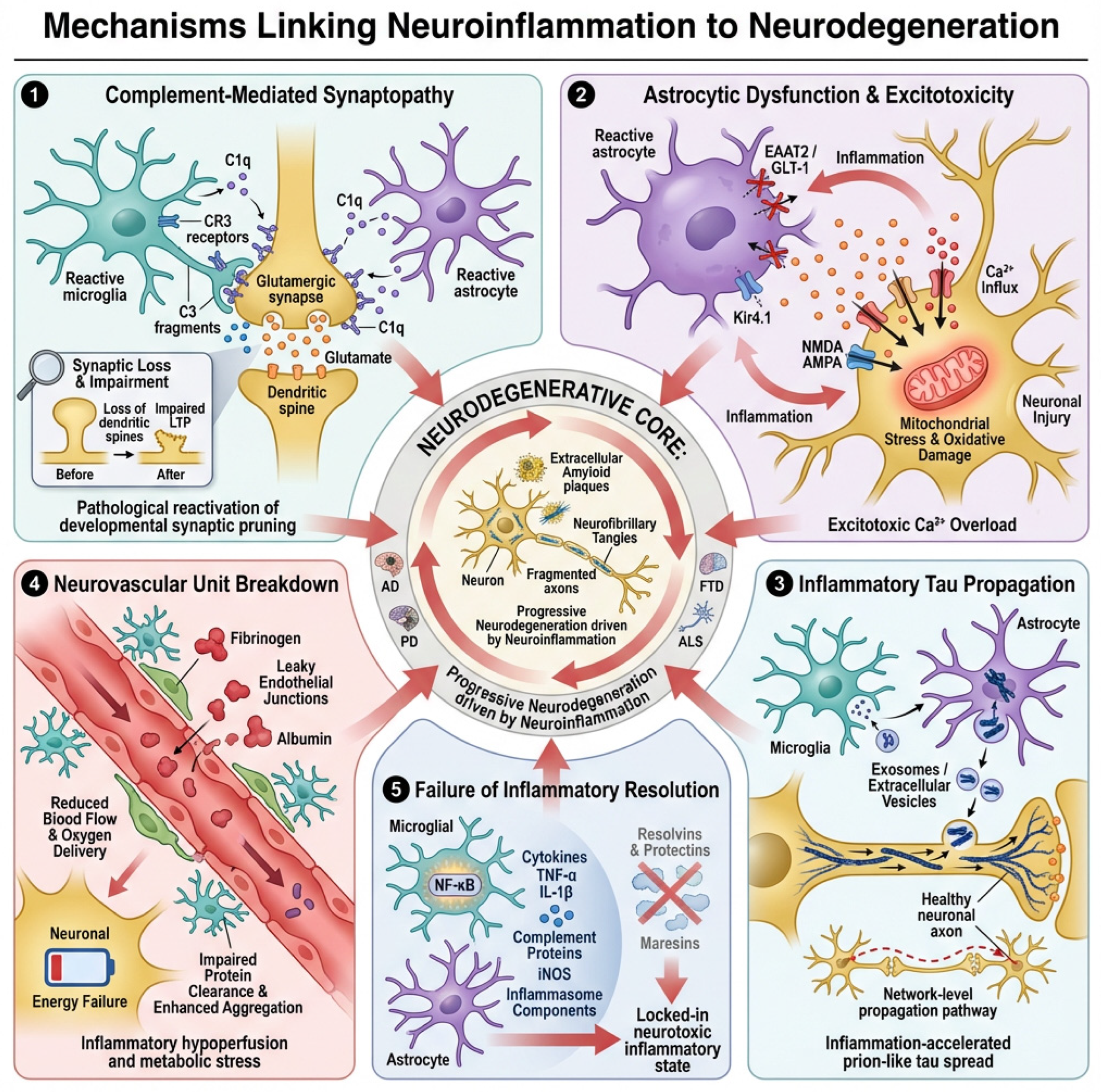 Neurolint 18 00037 g003