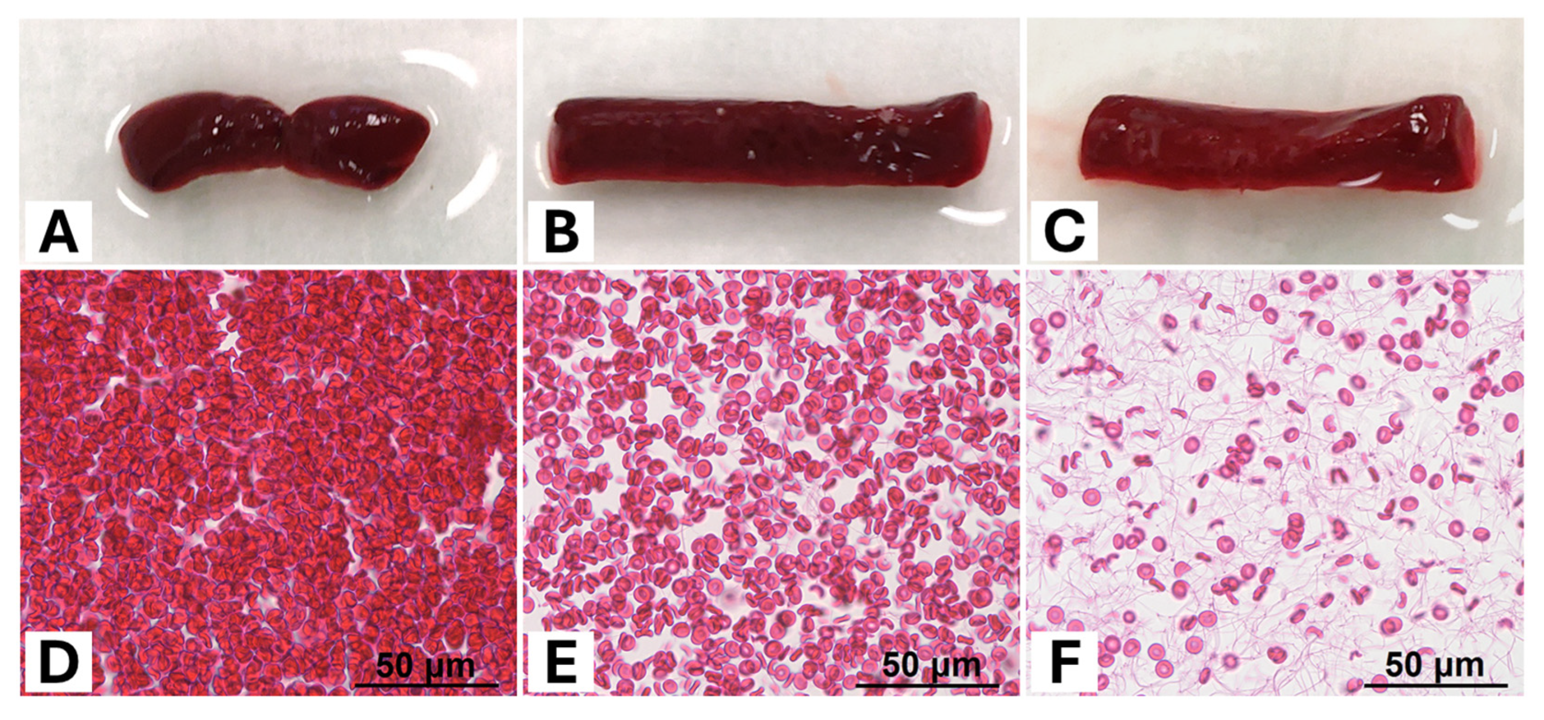 Neurolint 18 00038 g001