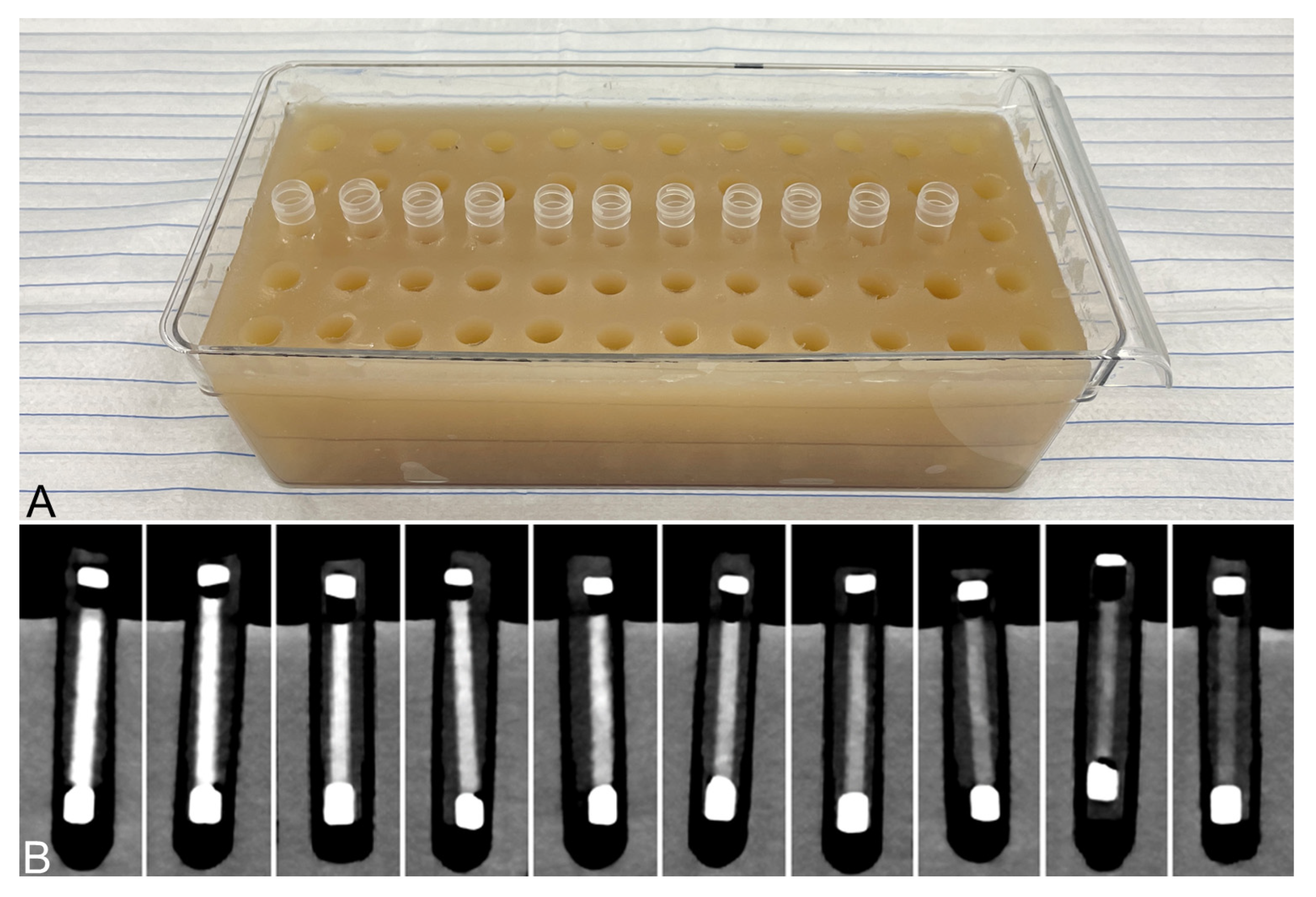 Neurolint 18 00038 g002