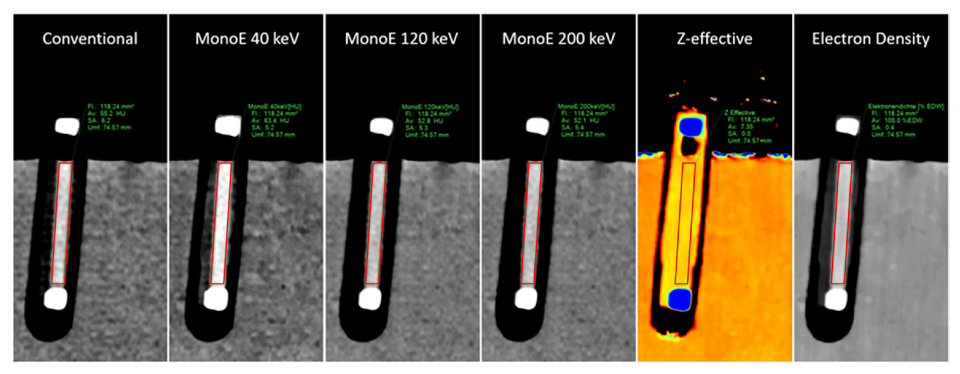 Neurolint 18 00038 g003