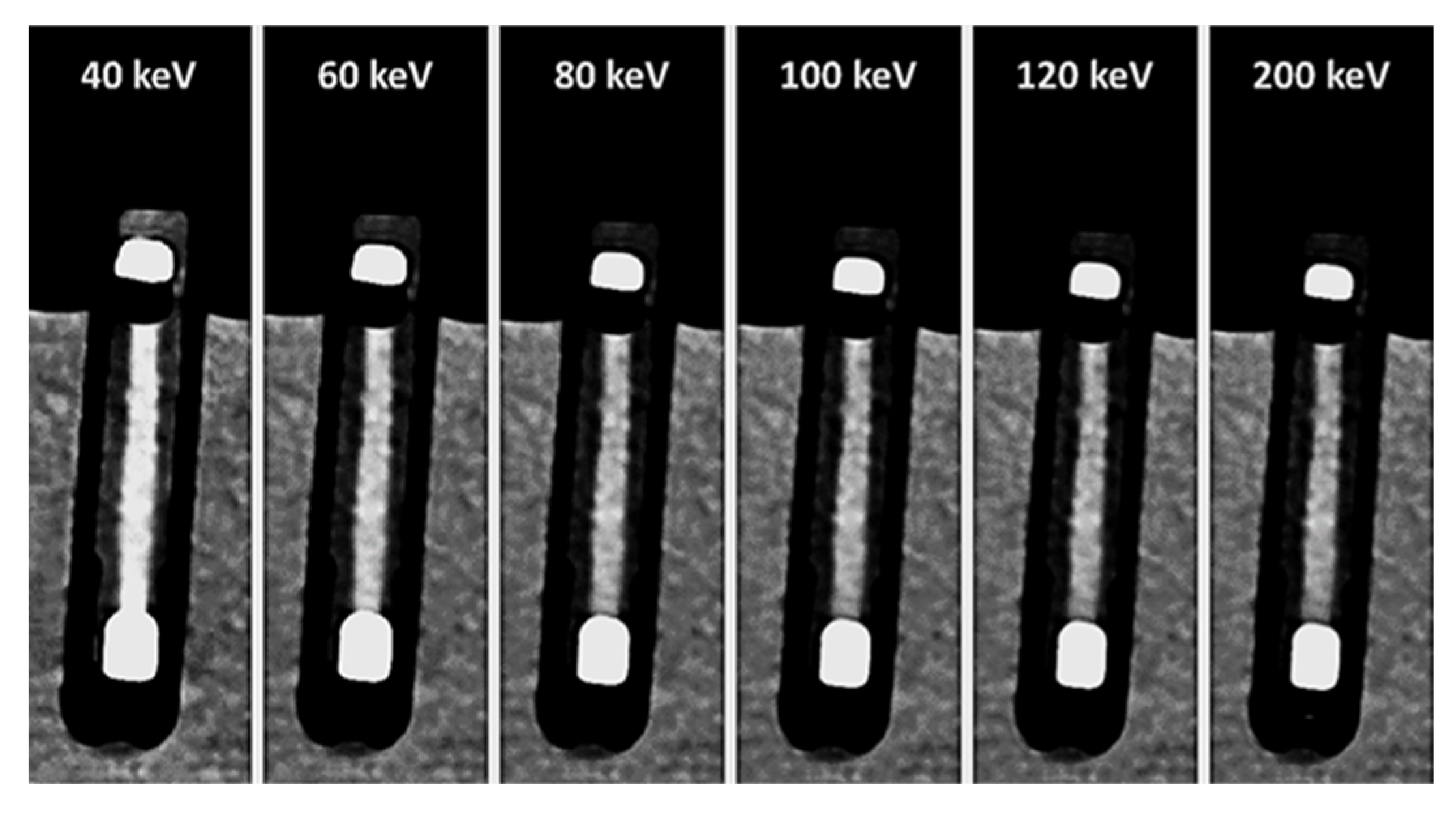 Neurolint 18 00038 g008