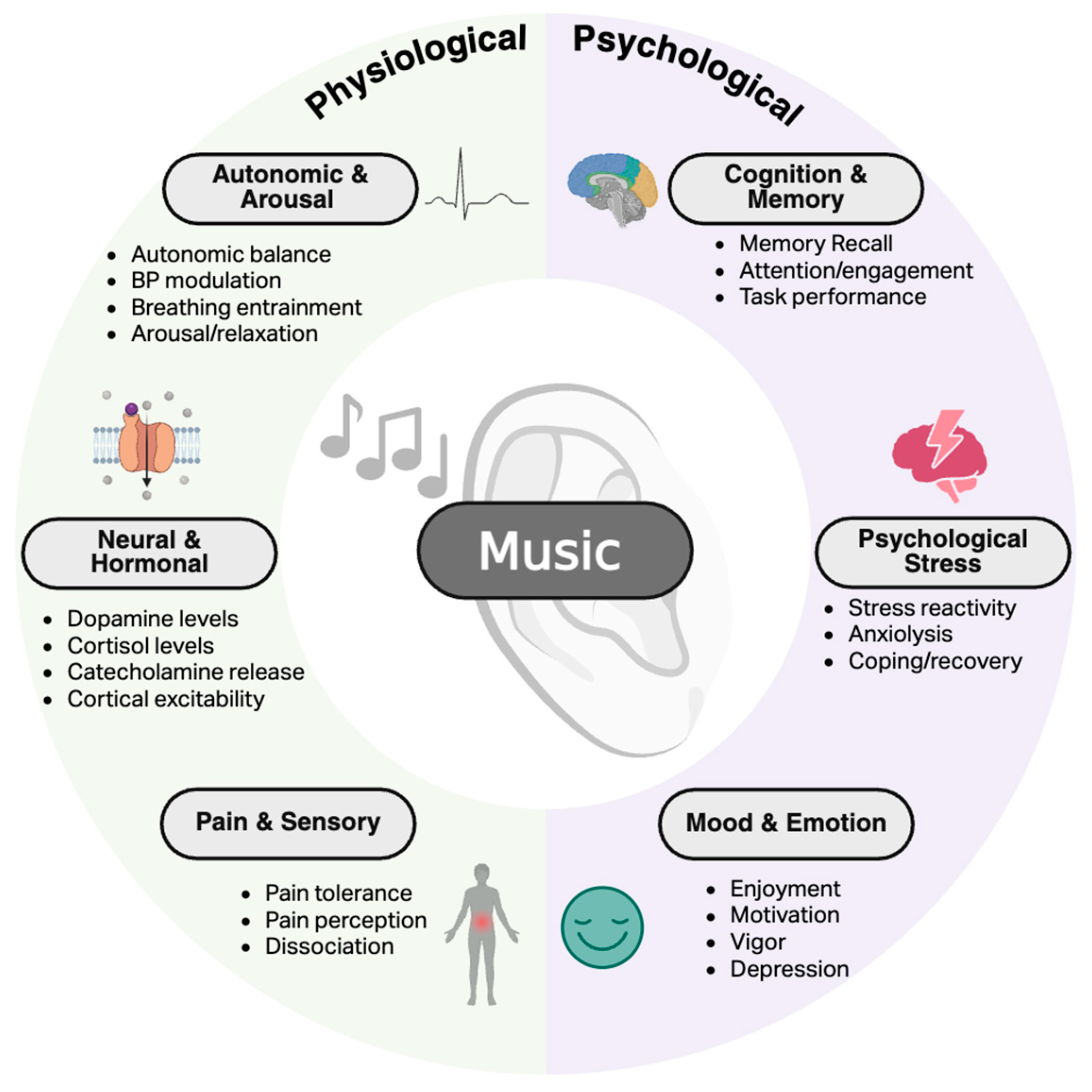 Neurolint 18 00045 g001 Neurolint 18 00045 g001