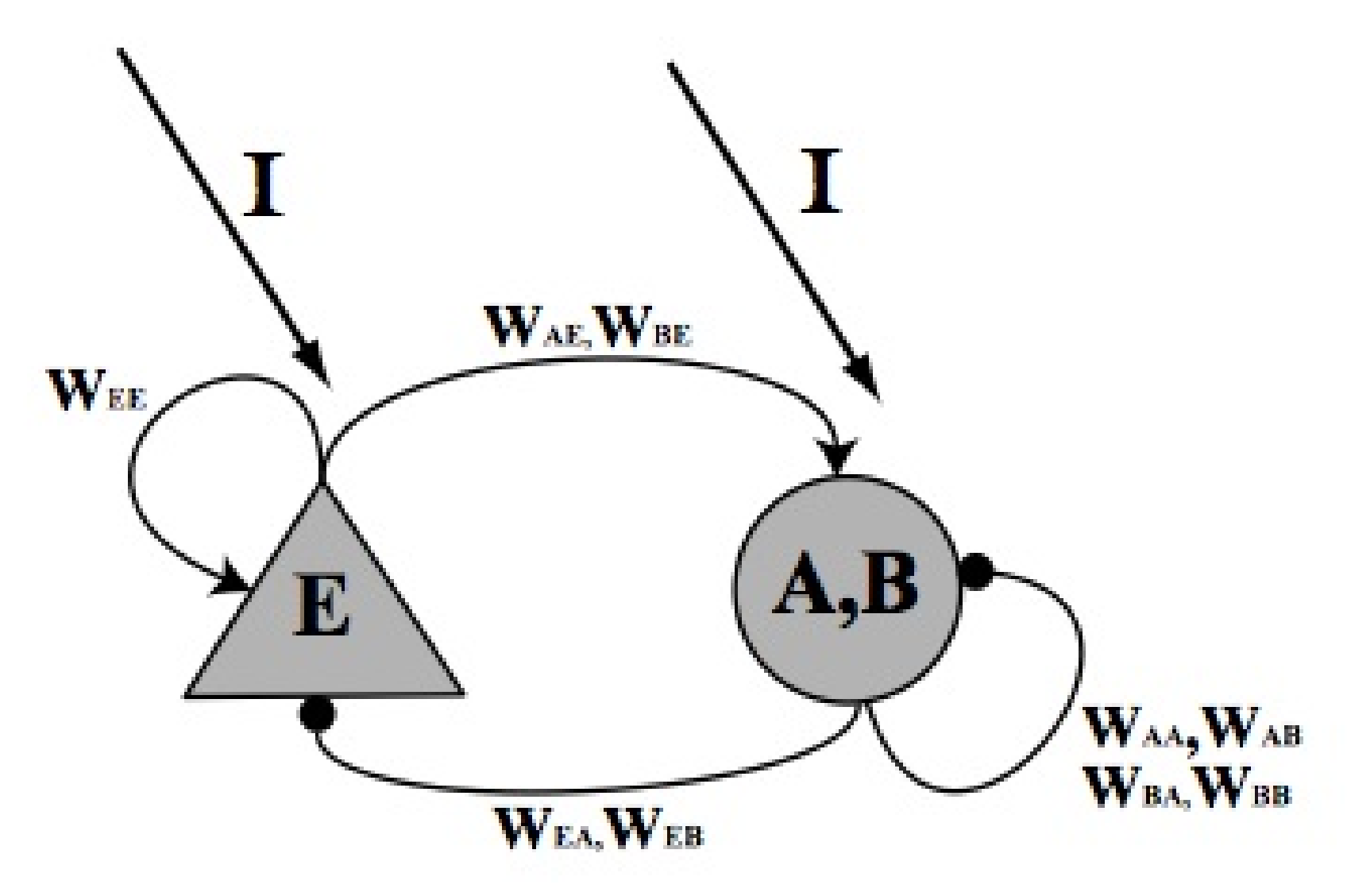 Neurosci 01 00008 g012