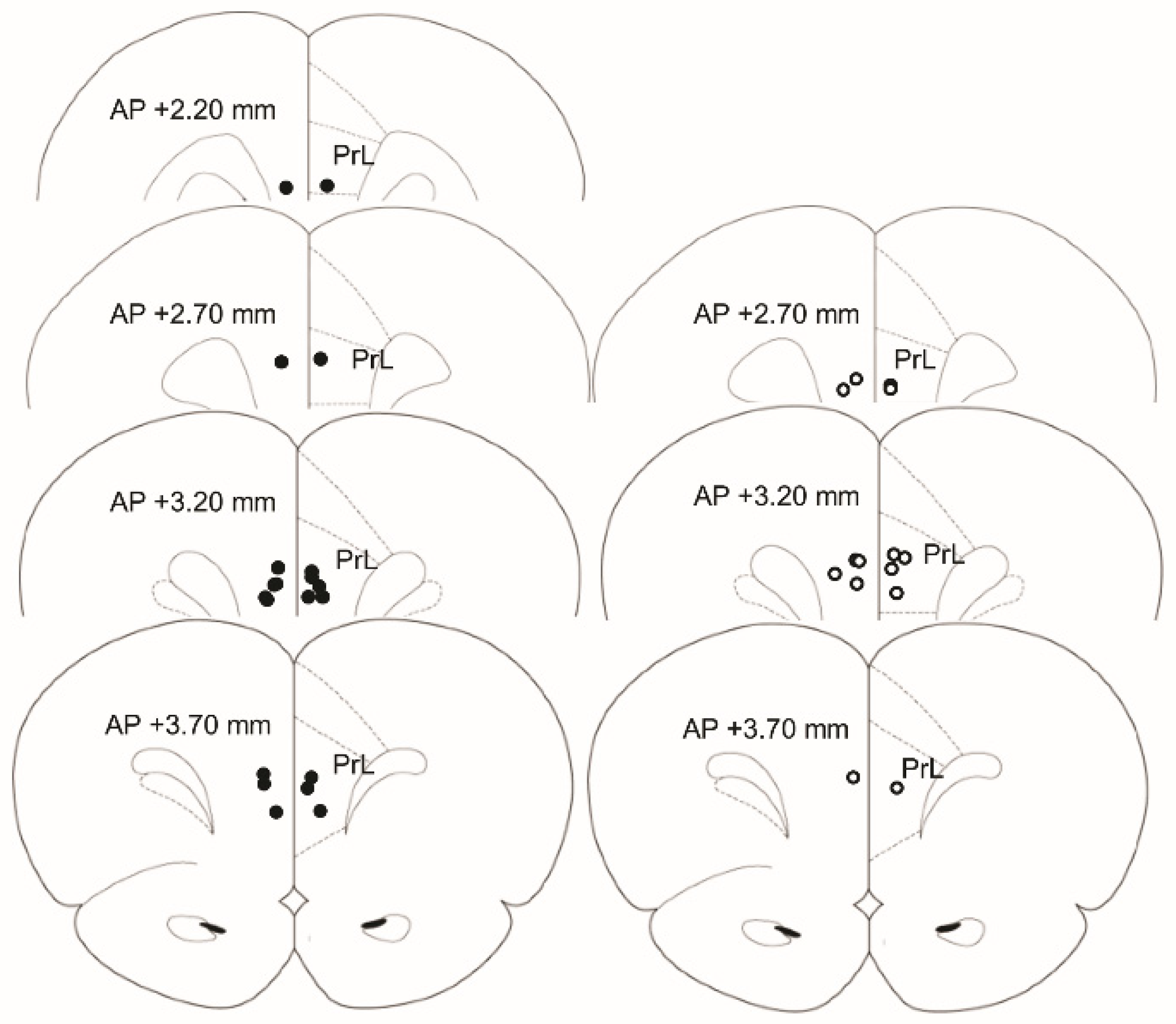 Neurosci 01 00010 g001