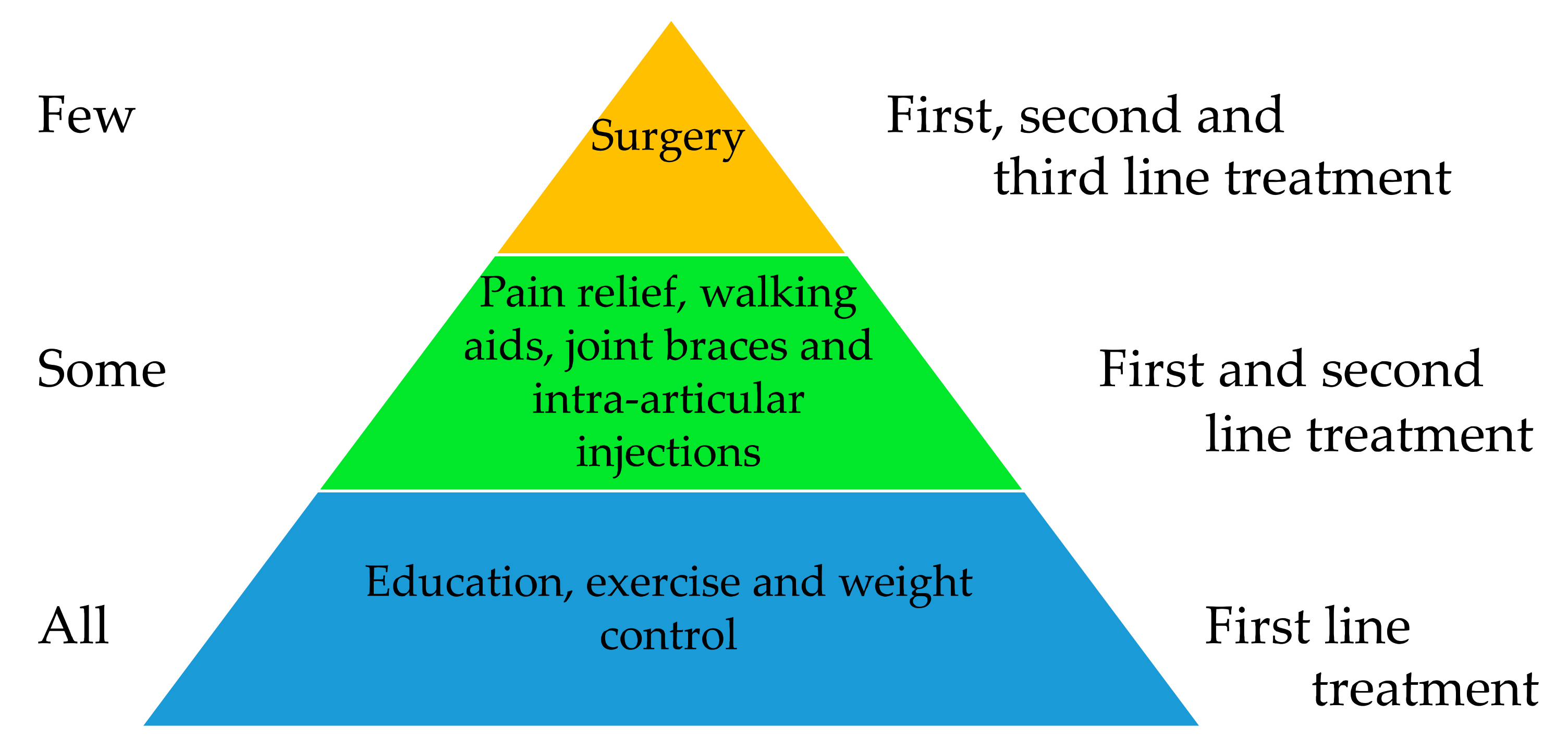 Neurosci 02 00003 g001