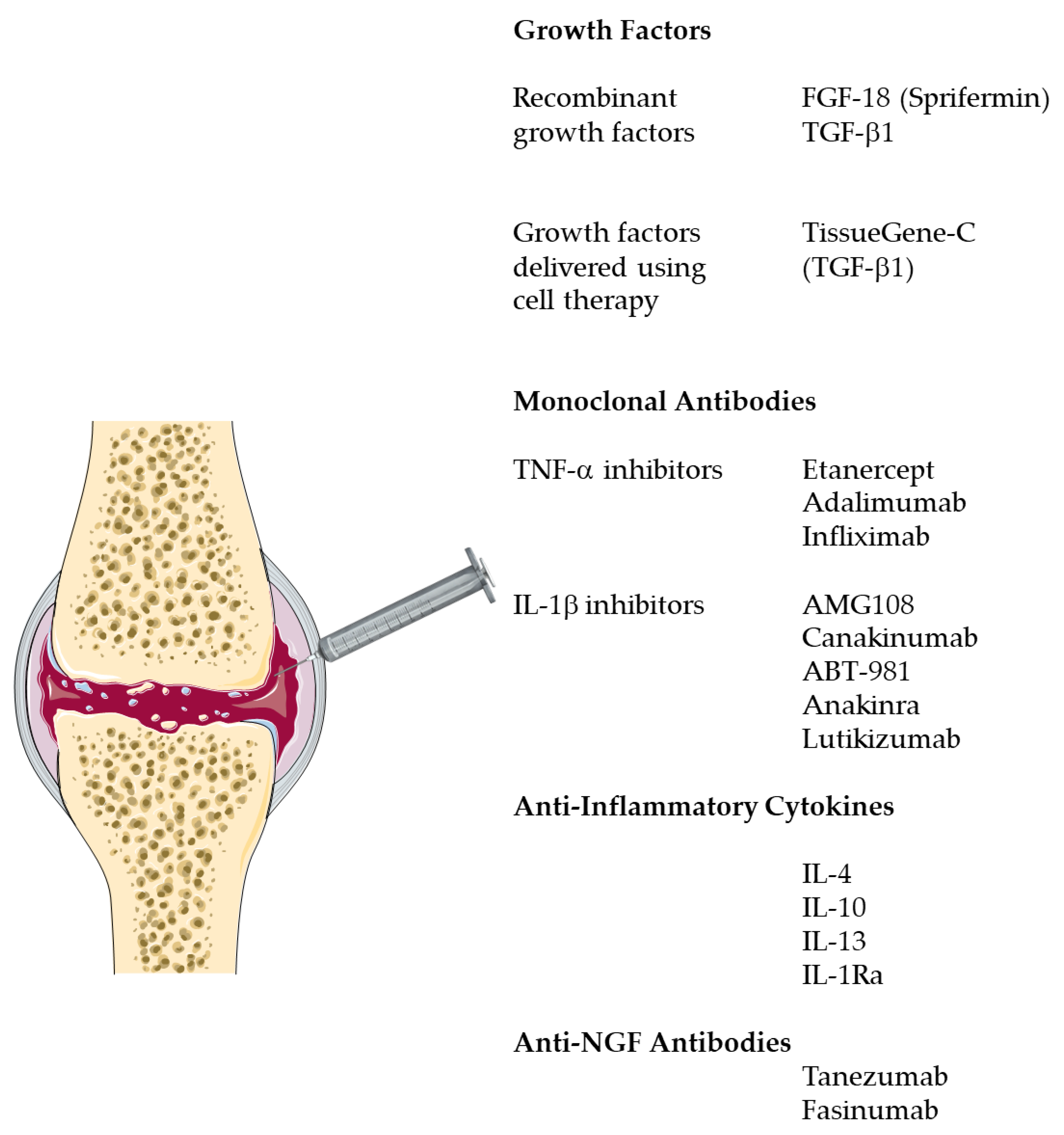 Neurosci 02 00003 g002
