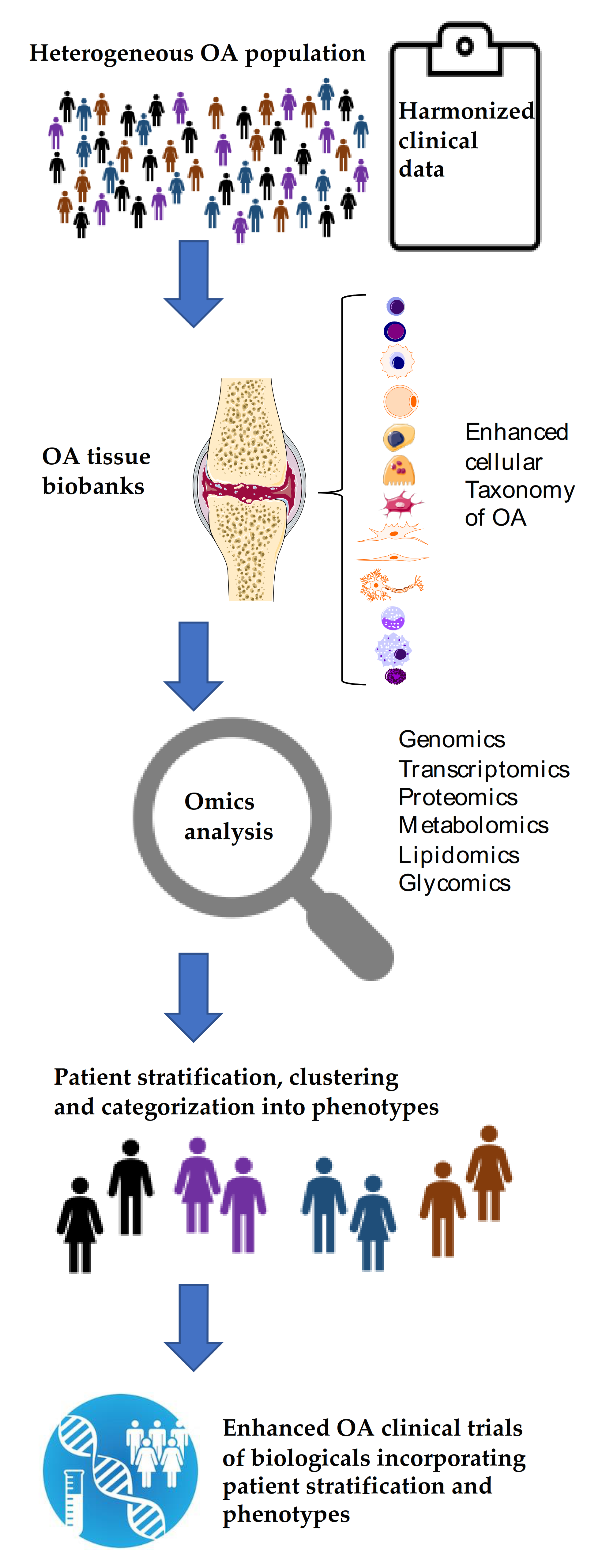 Neurosci 02 00003 g004