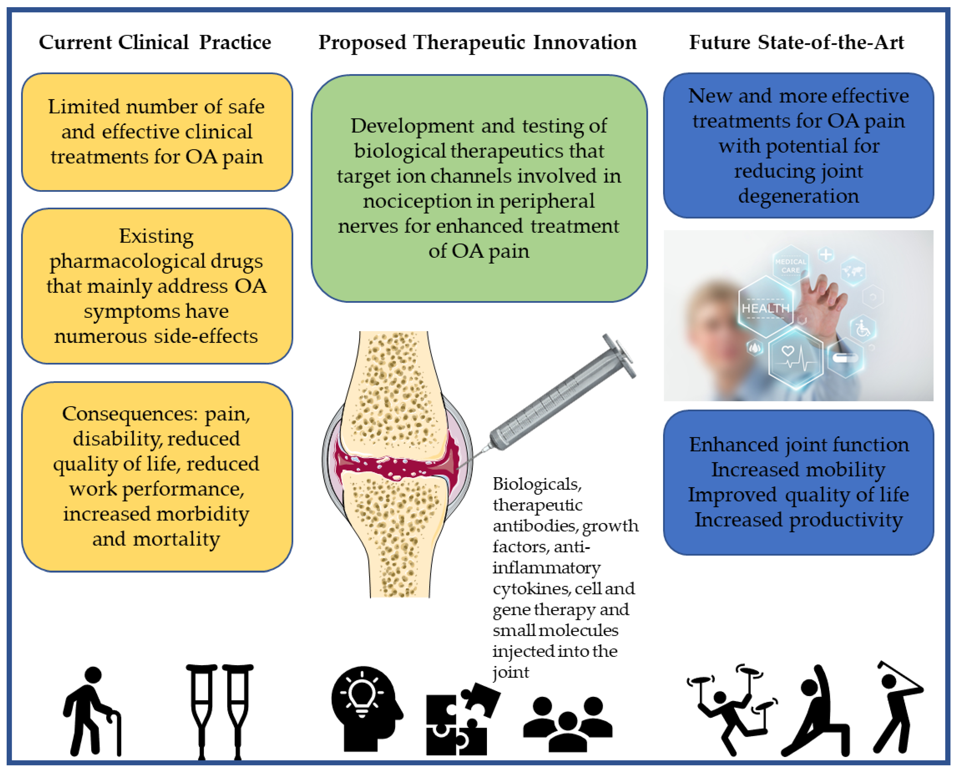 Neurosci 02 00003 g005