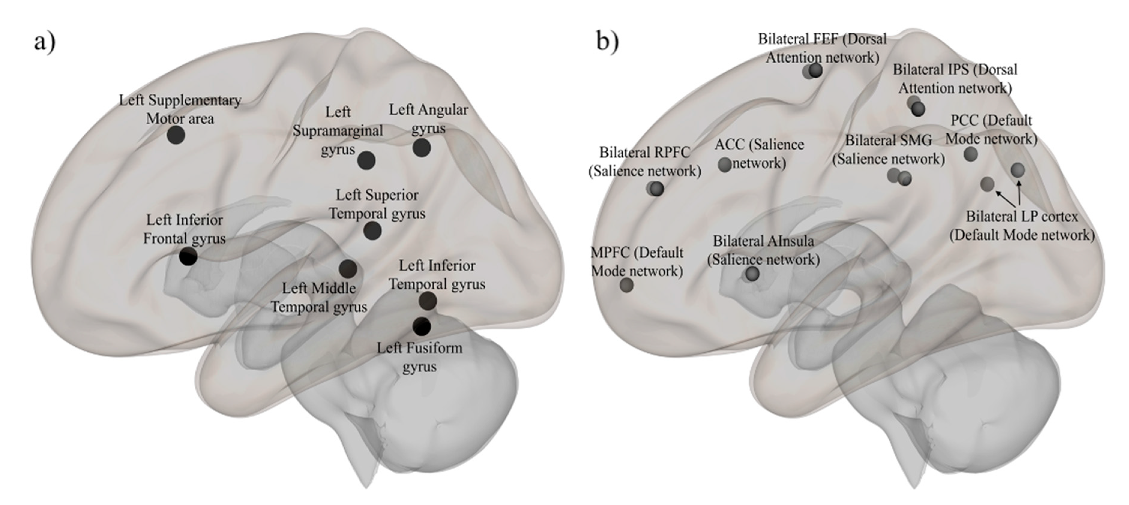 Neurosci 02 00005 g001