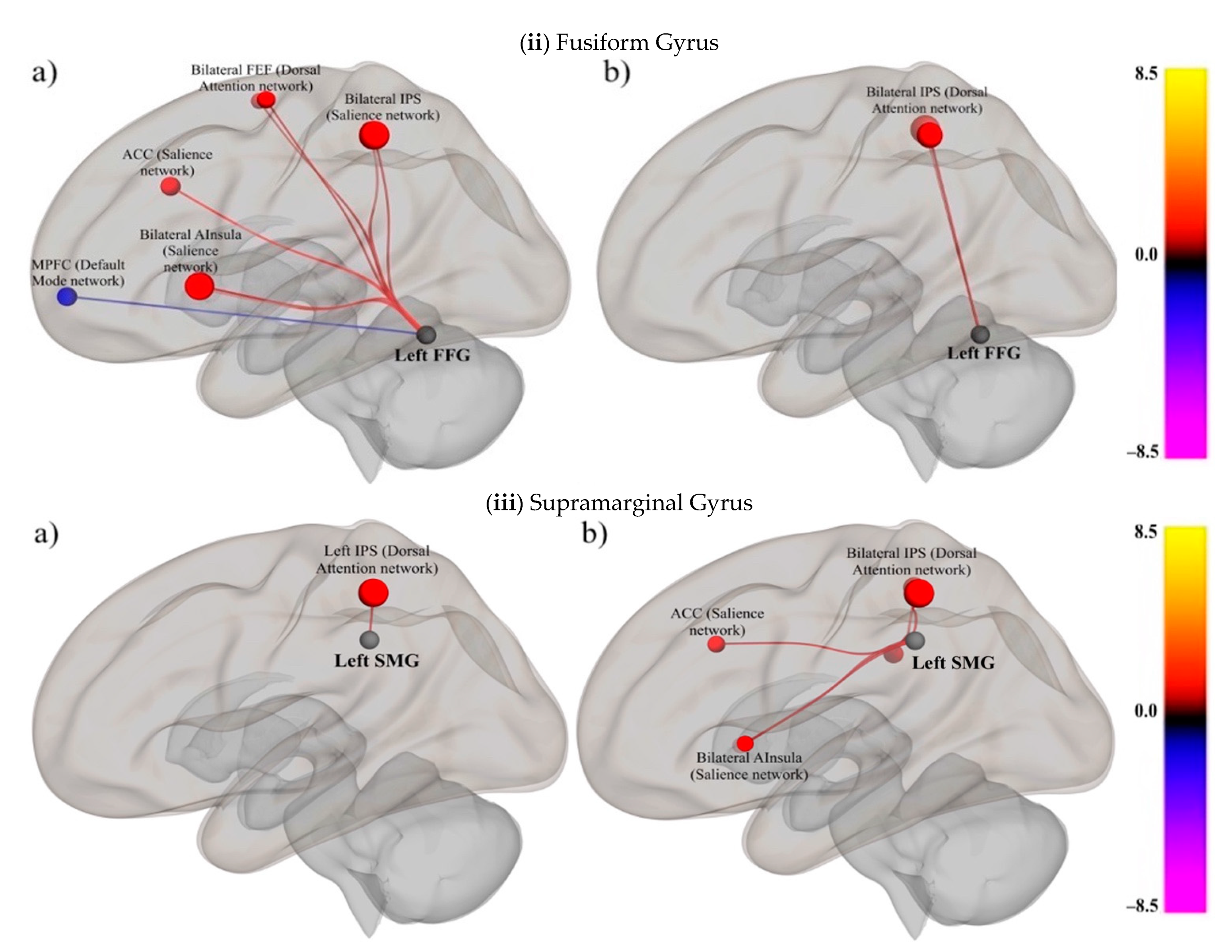 Neurosci 02 00005 g003b