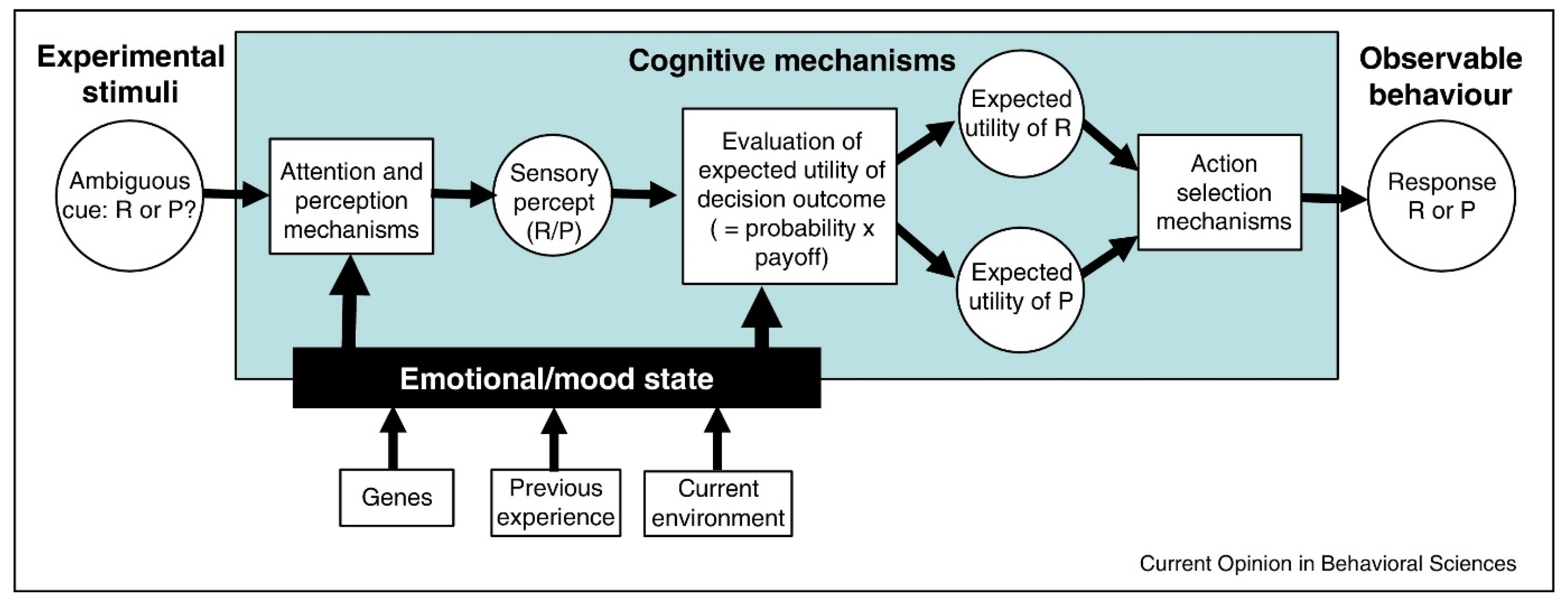 Neurosci 02 00013 g002