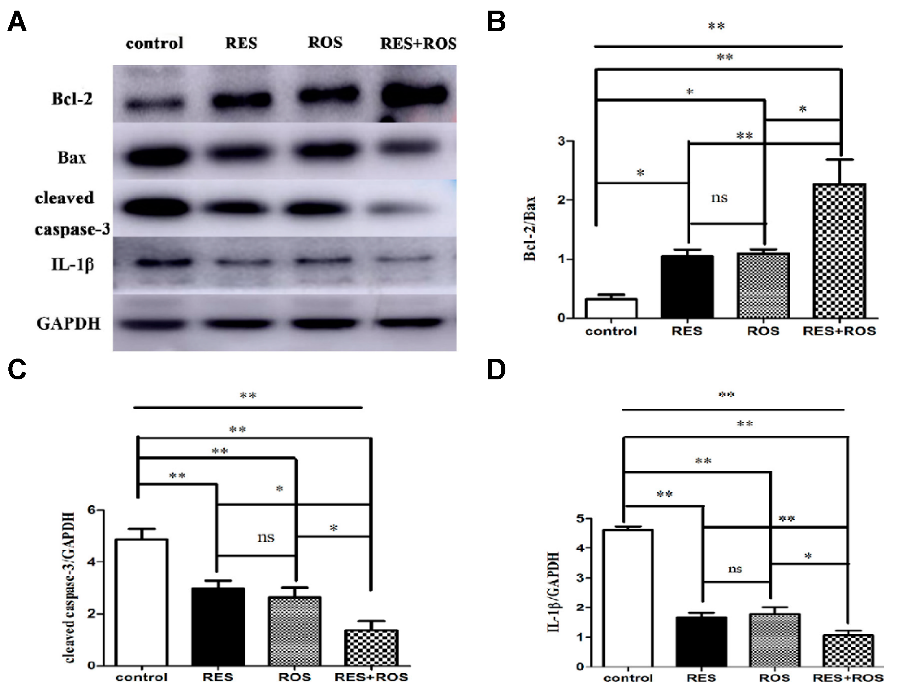 Neurosci 02 00022 g005