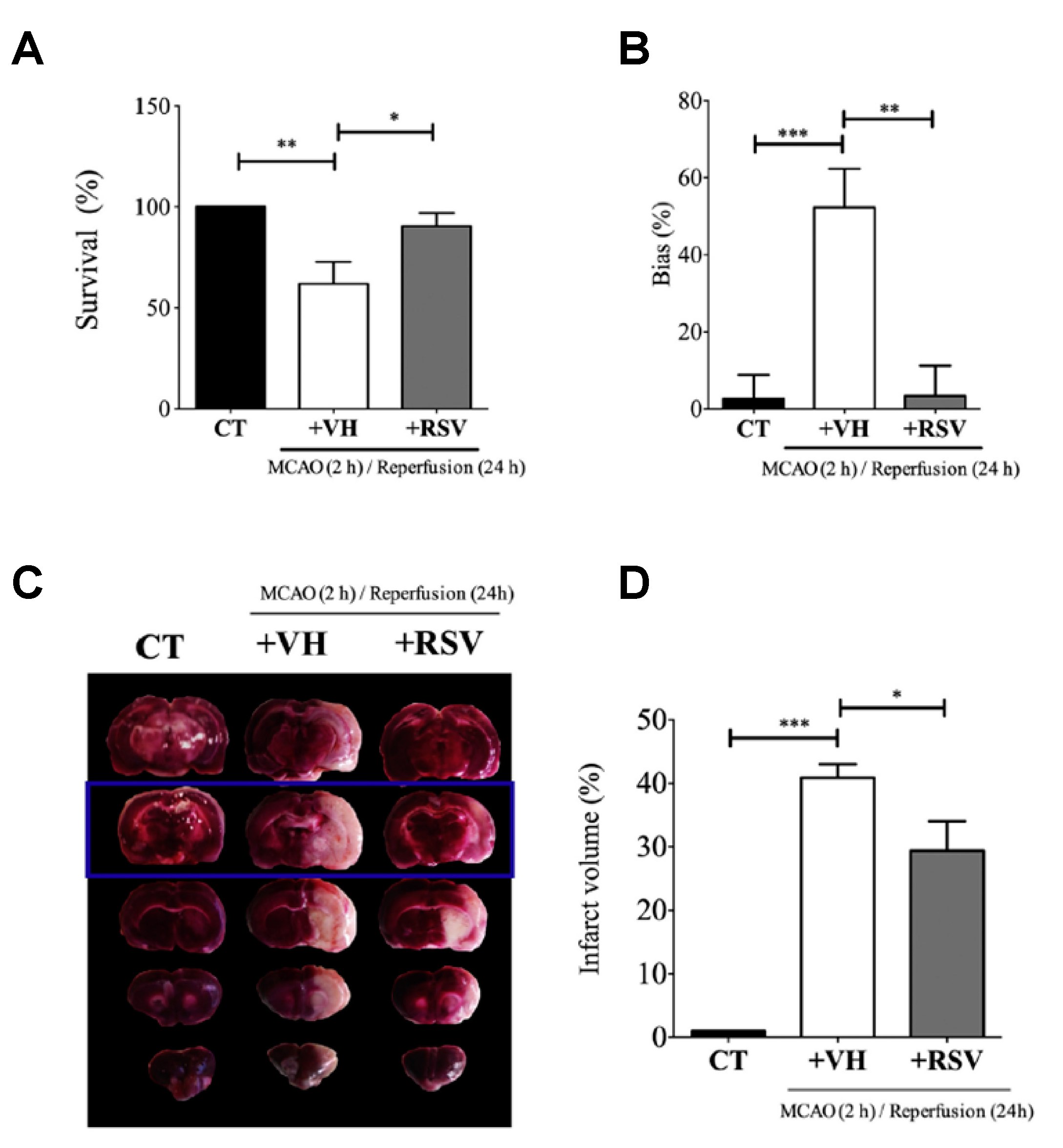 Neurosci 02 00022 g006