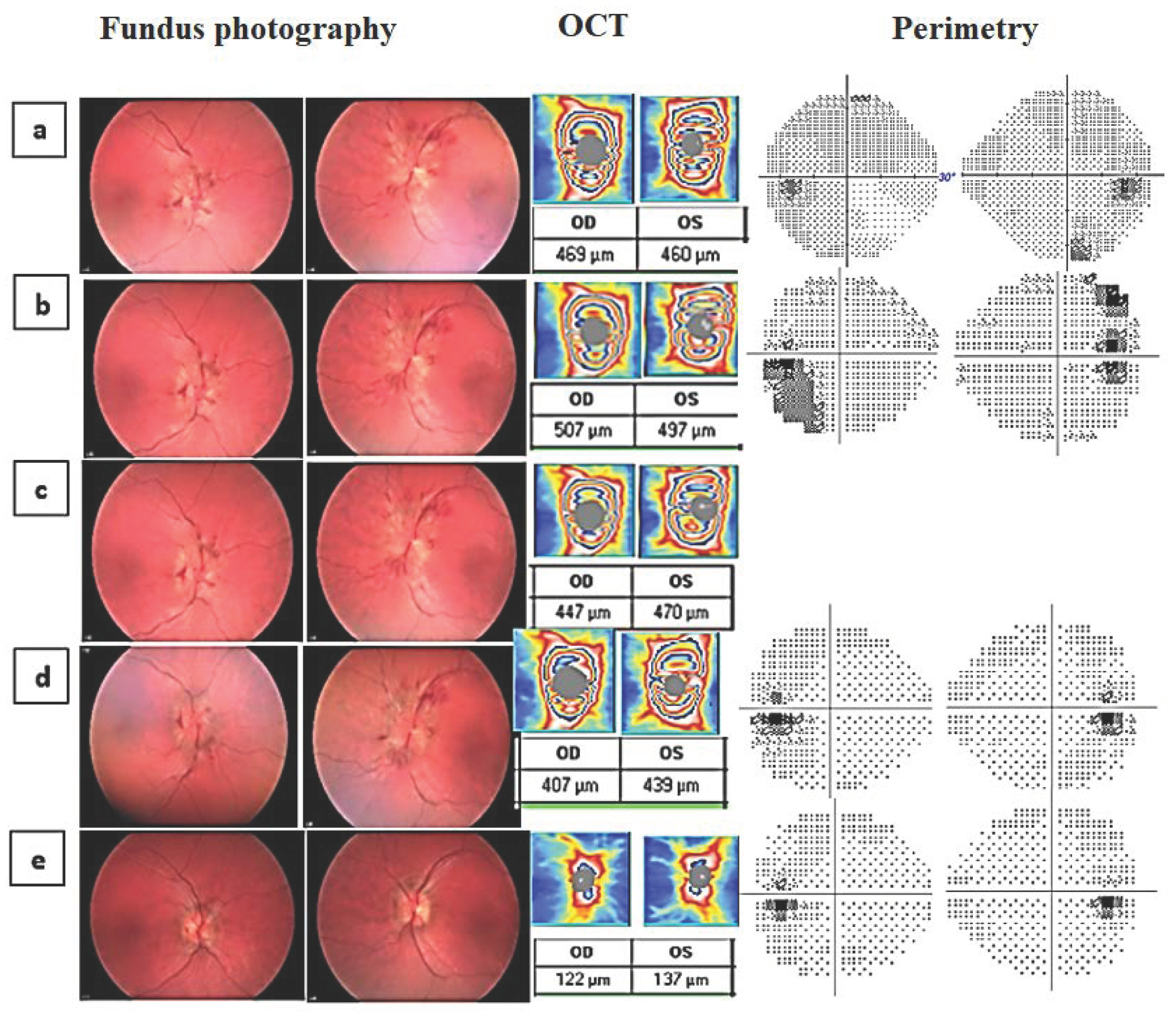 Neurosci 02 00024 g001