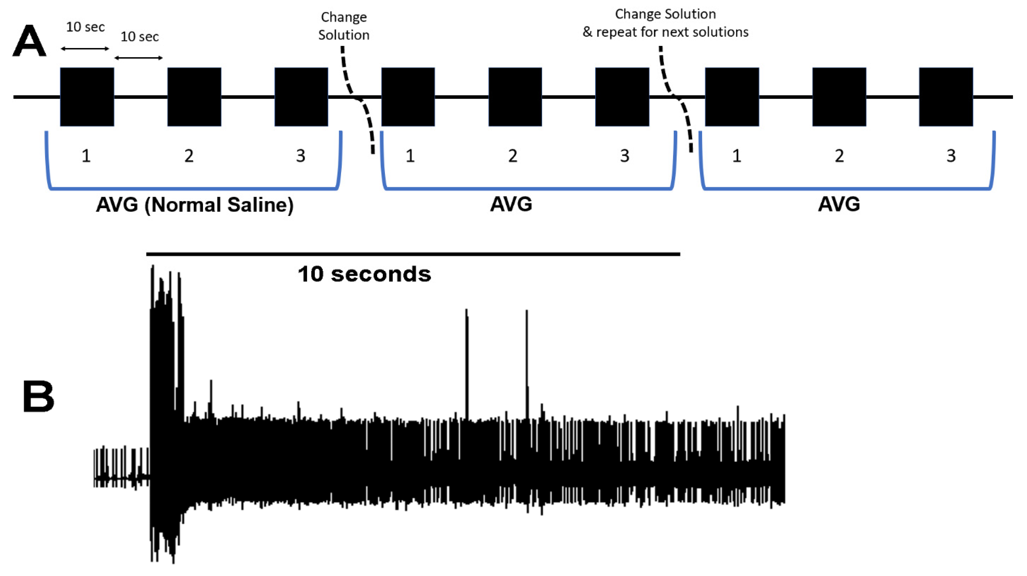 Neurosci 02 00026 g004 Neurosci 02 00026 g004