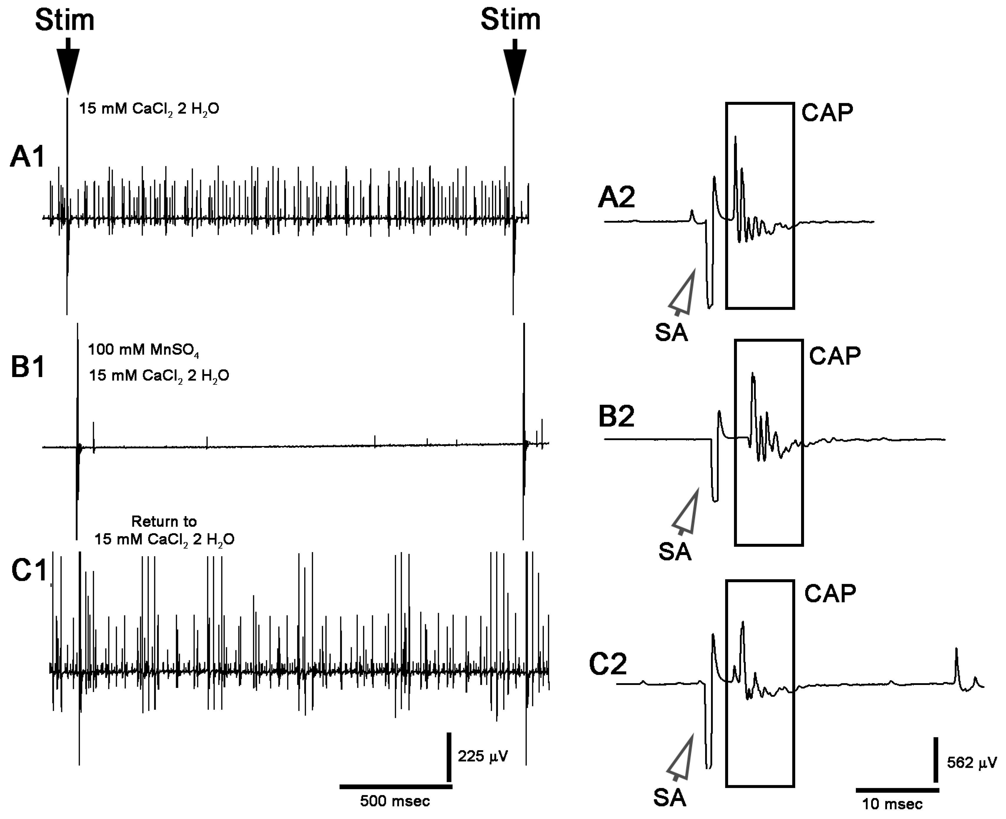 Neurosci 02 00026 g008 Neurosci 02 00026 g008