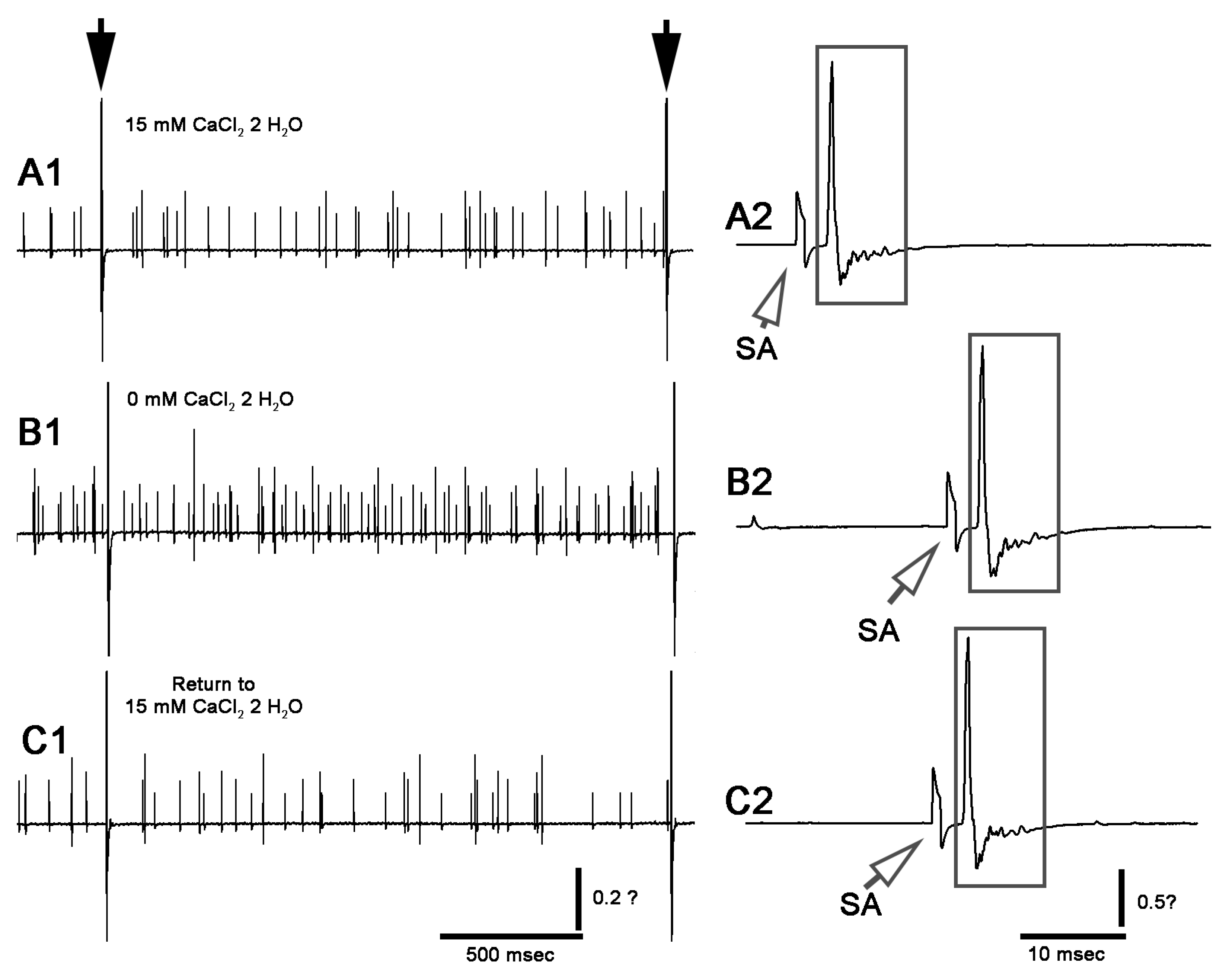 Neurosci 02 00026 g009 Neurosci 02 00026 g009