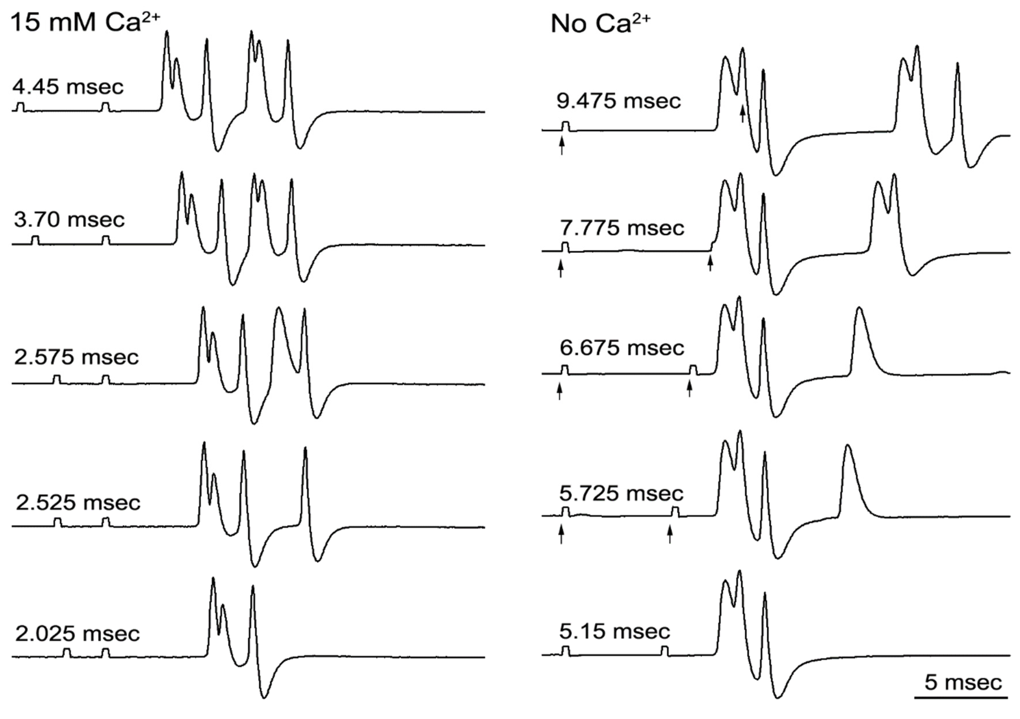Neurosci 02 00026 g011 Neurosci 02 00026 g011