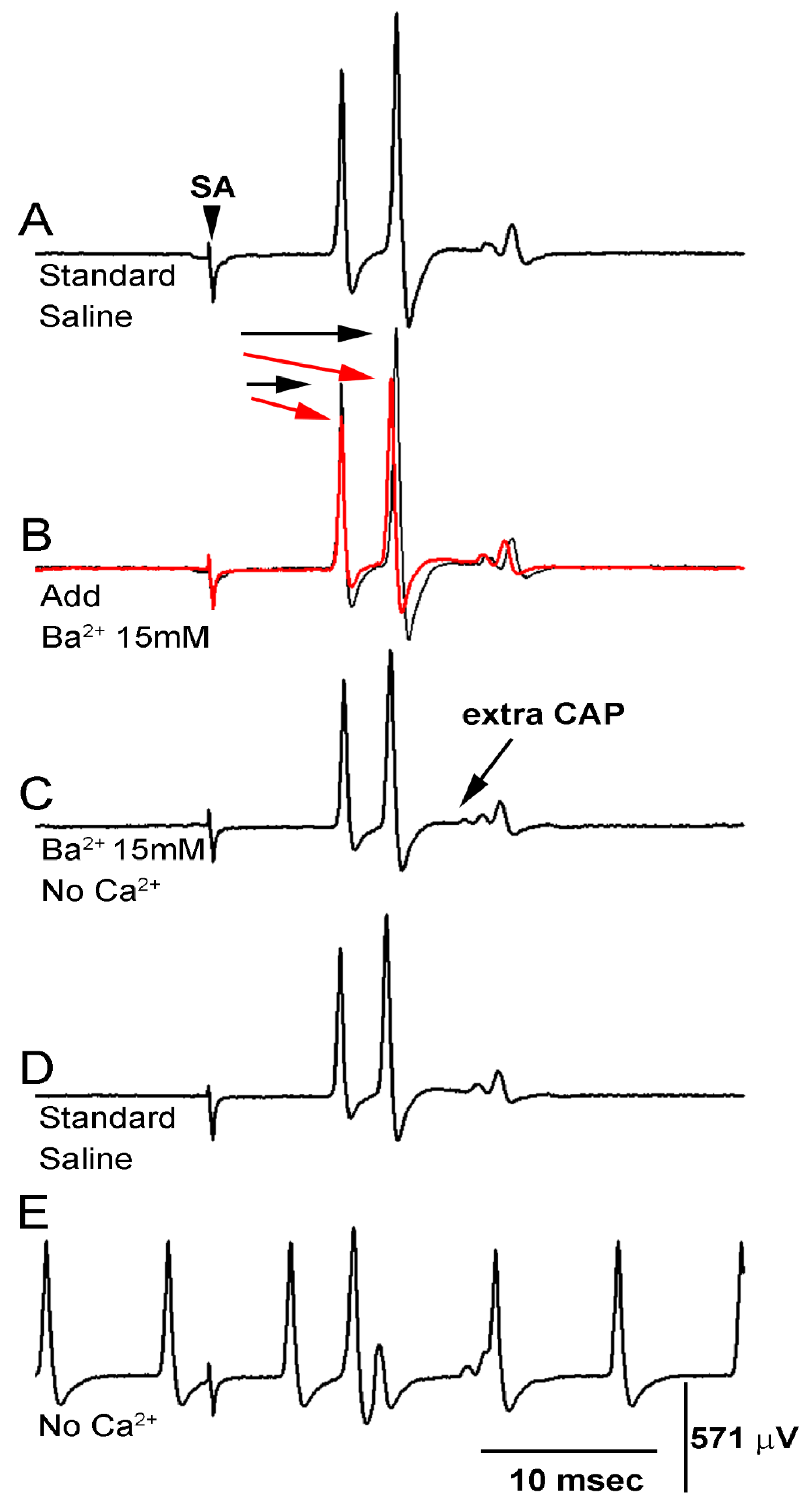 Neurosci 02 00026 g013 Neurosci 02 00026 g013