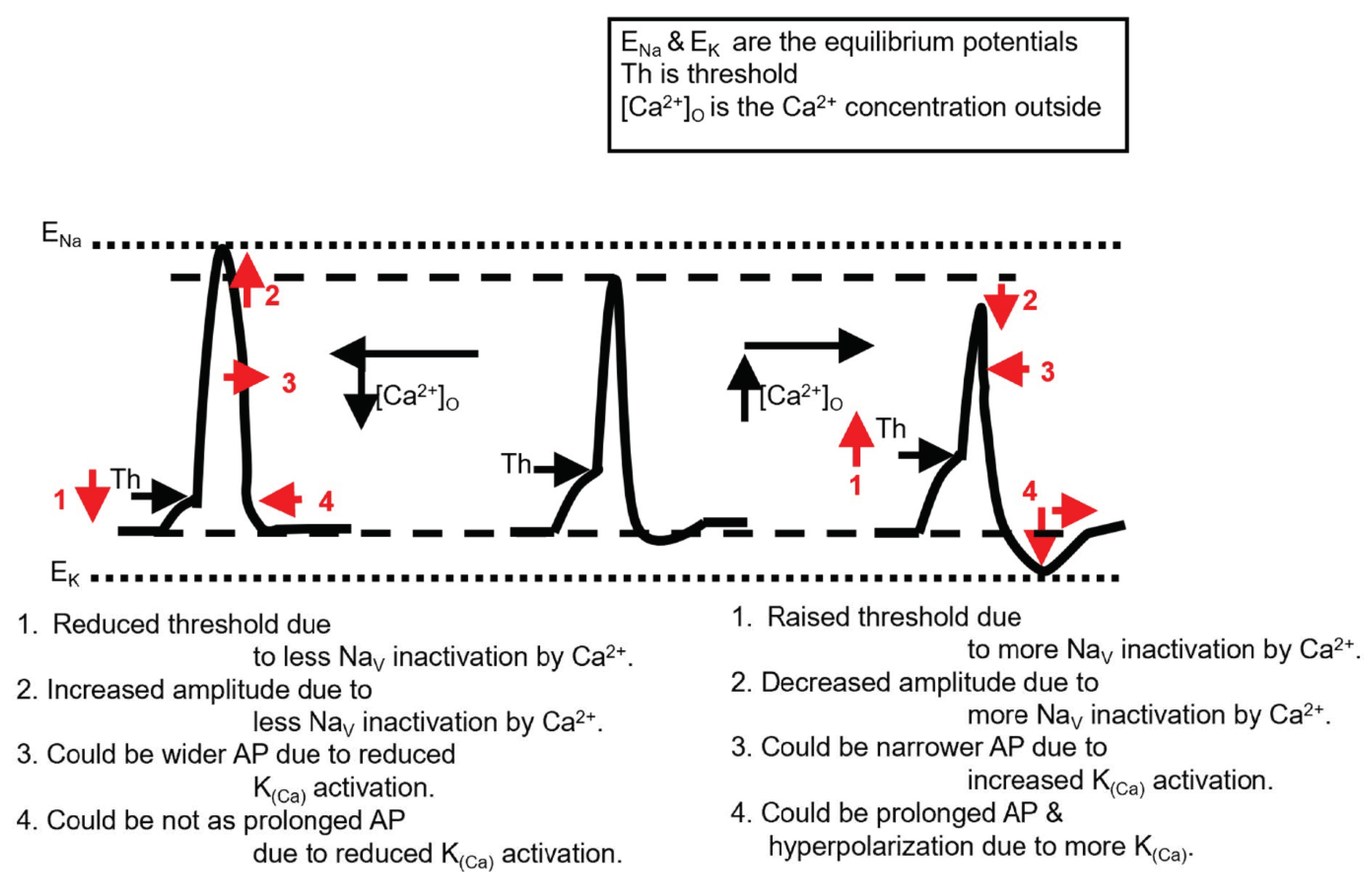 Neurosci 02 00026 g014 Neurosci 02 00026 g014
