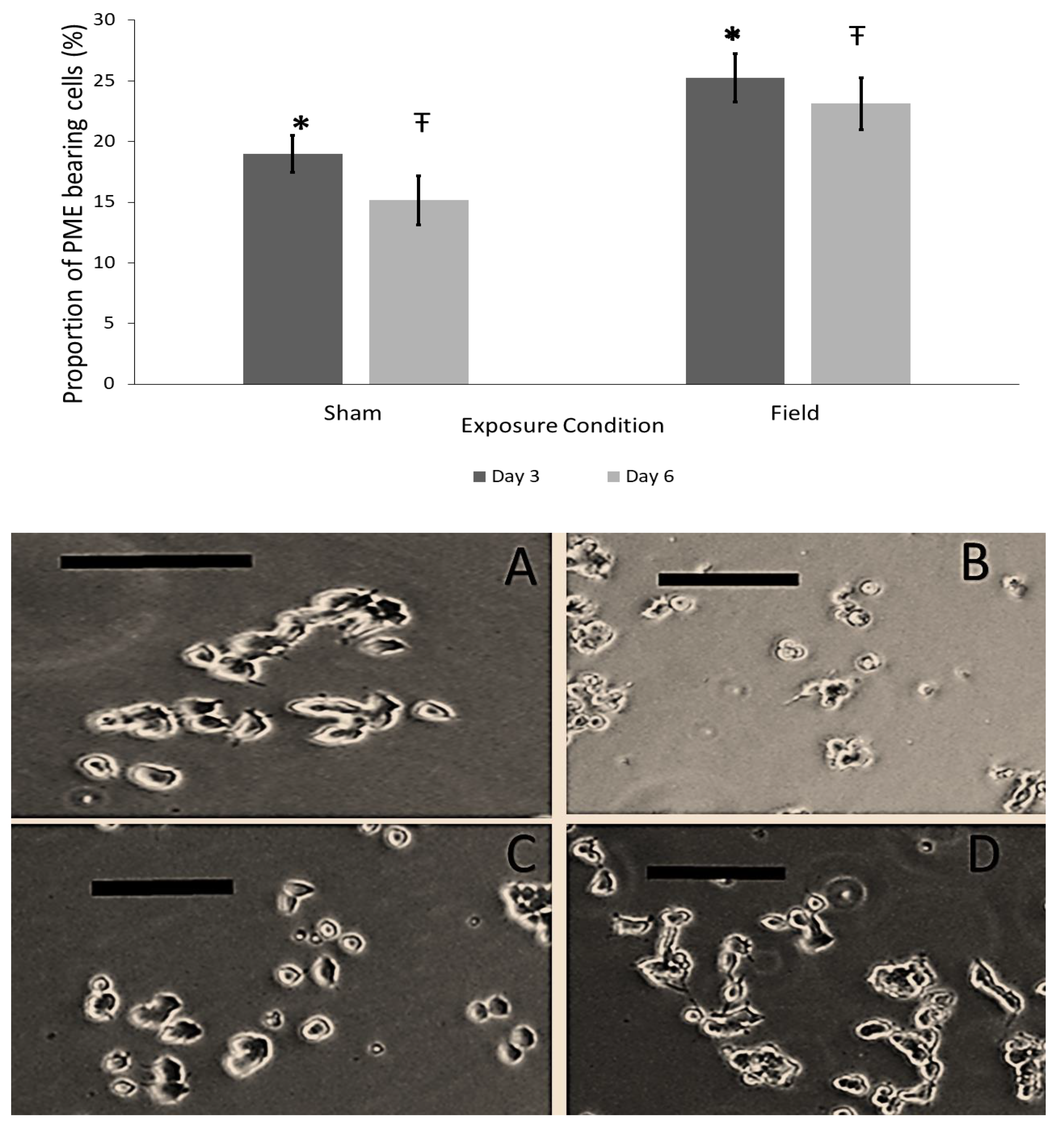 Neurosci 02 00028 g001