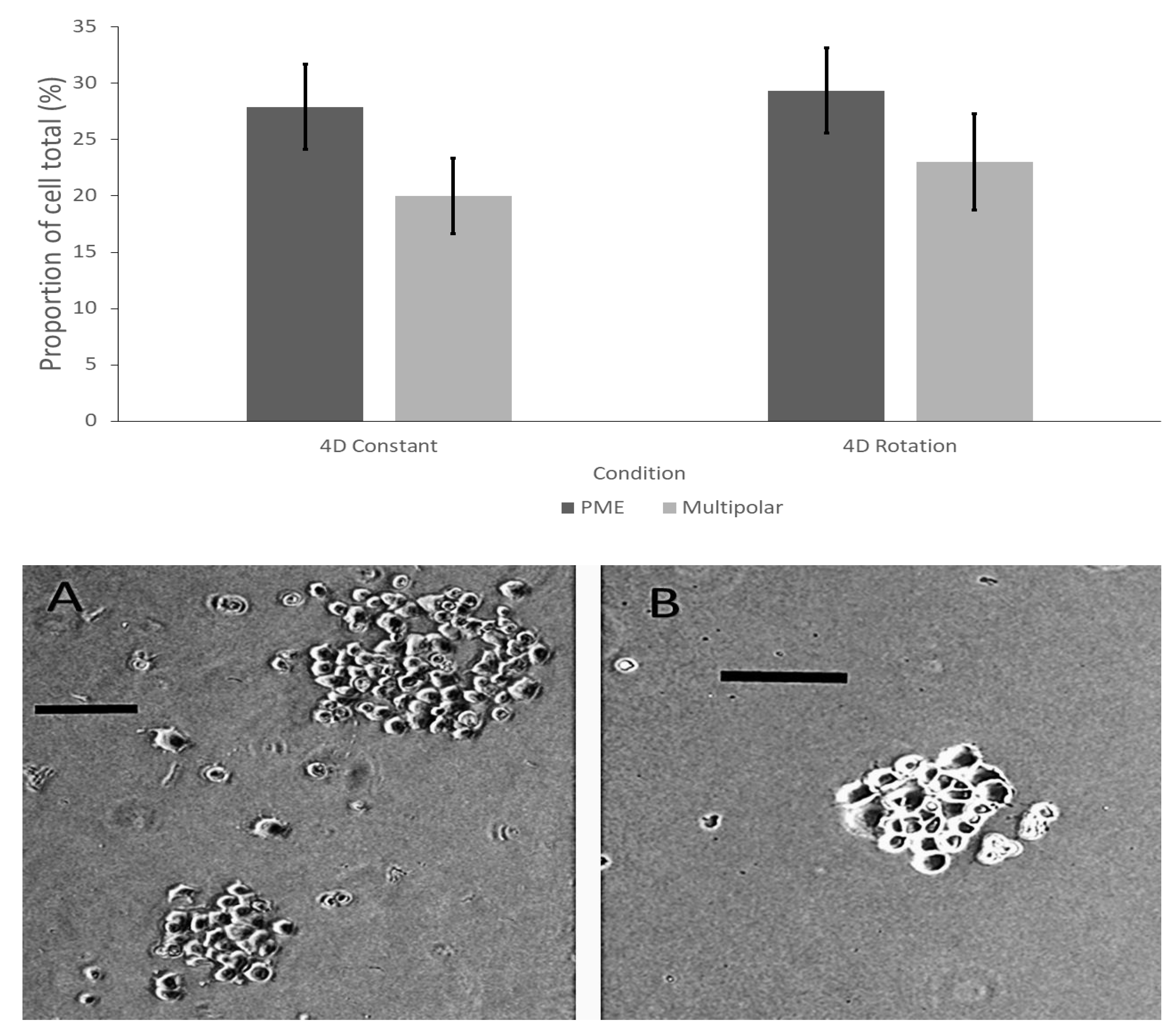 Neurosci 02 00028 g002