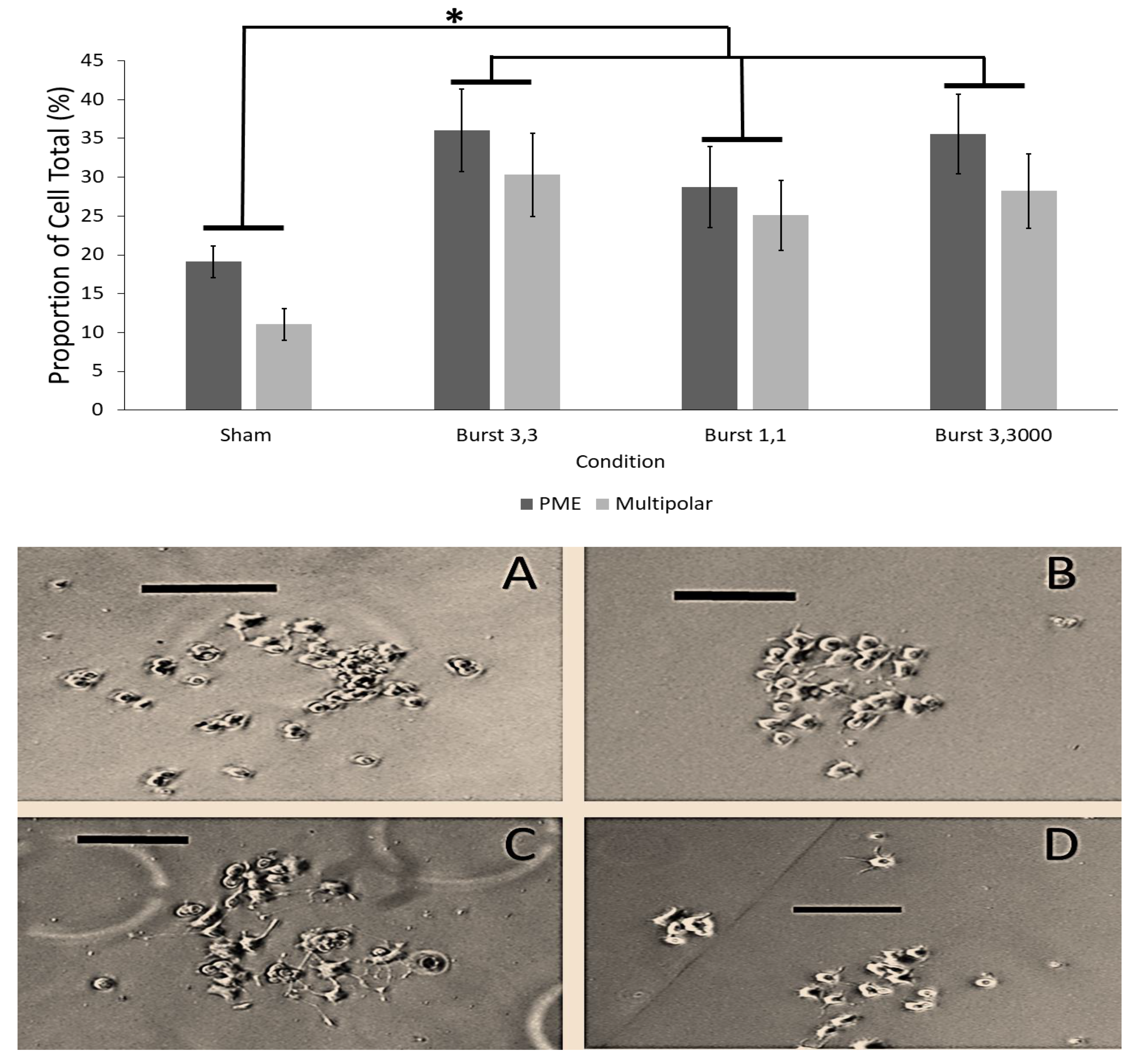 Neurosci 02 00028 g003