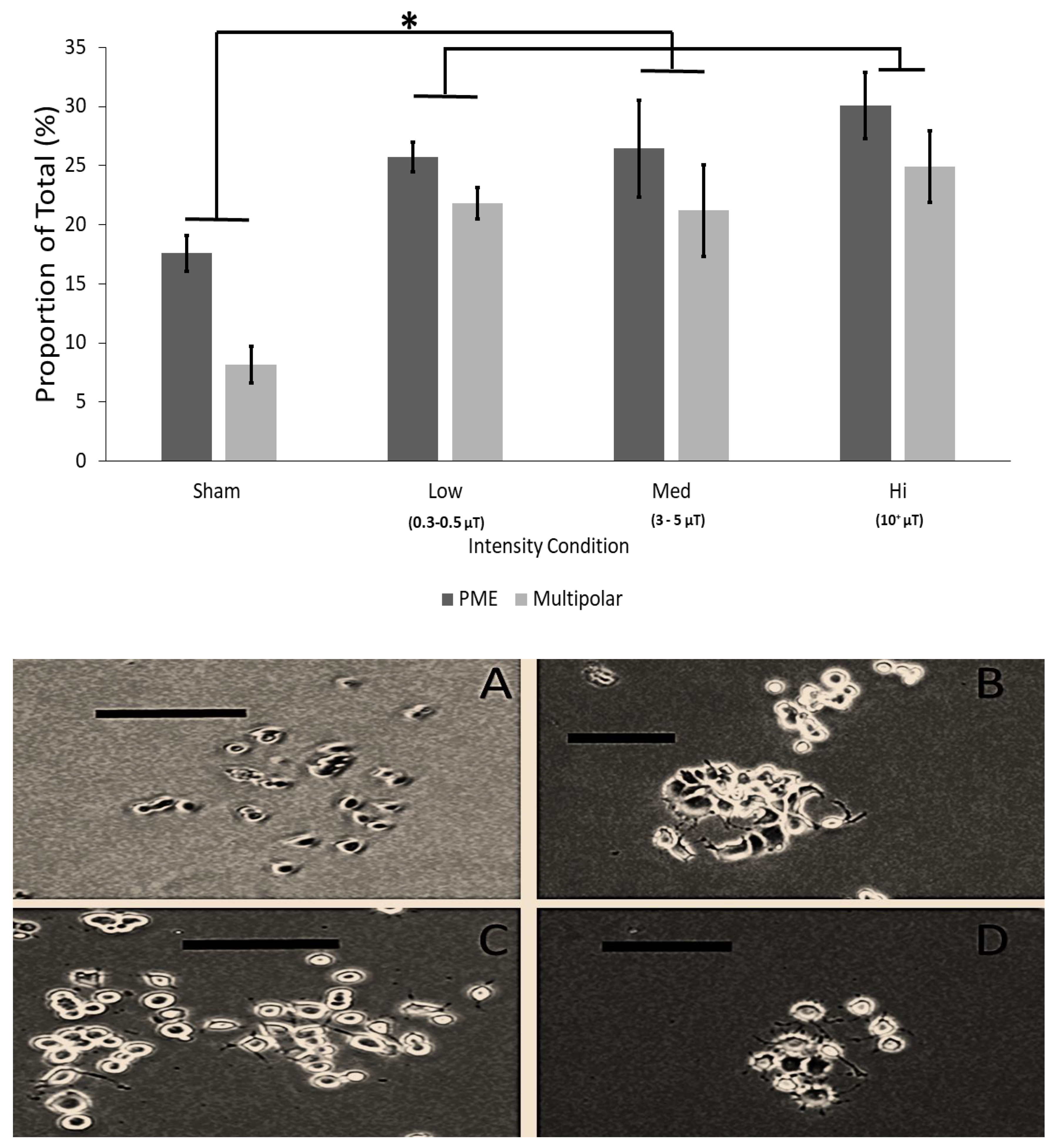 Neurosci 02 00028 g004
